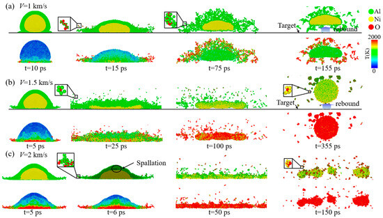 Atomistic Insights into Impact-Induced Energy Release and