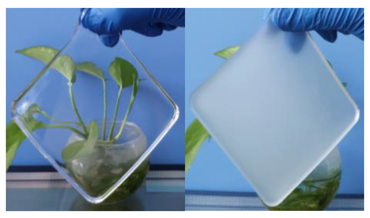 Materials 17 04047 g004