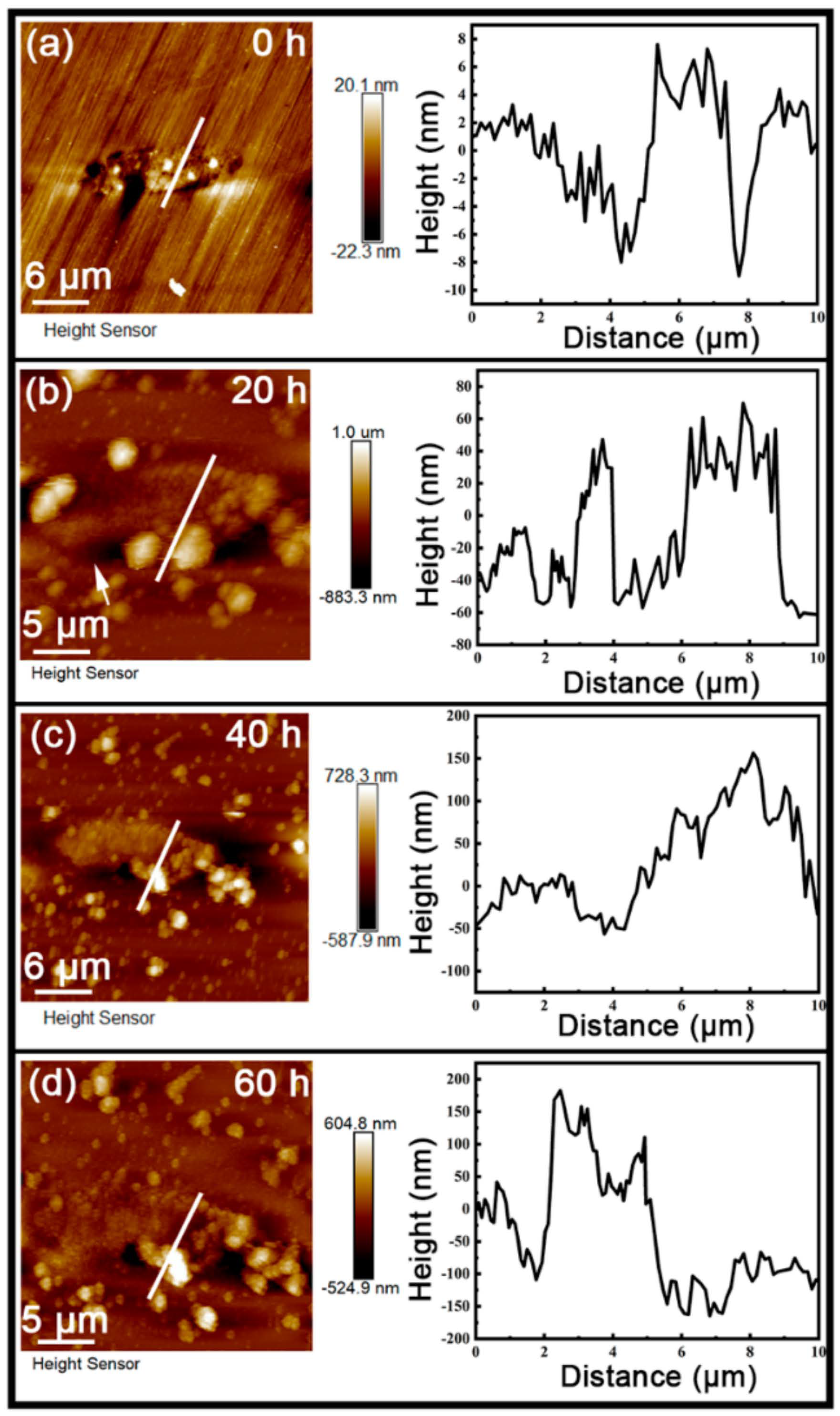 Materials 17 04050 g006