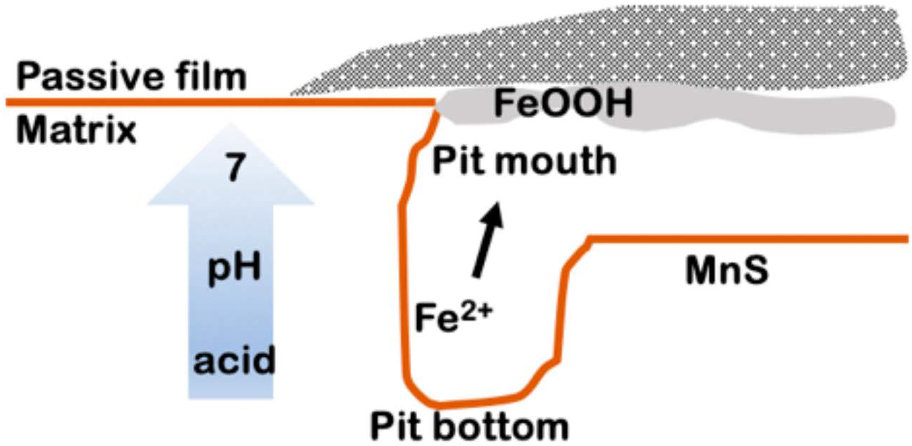 Materials 17 04050 g011