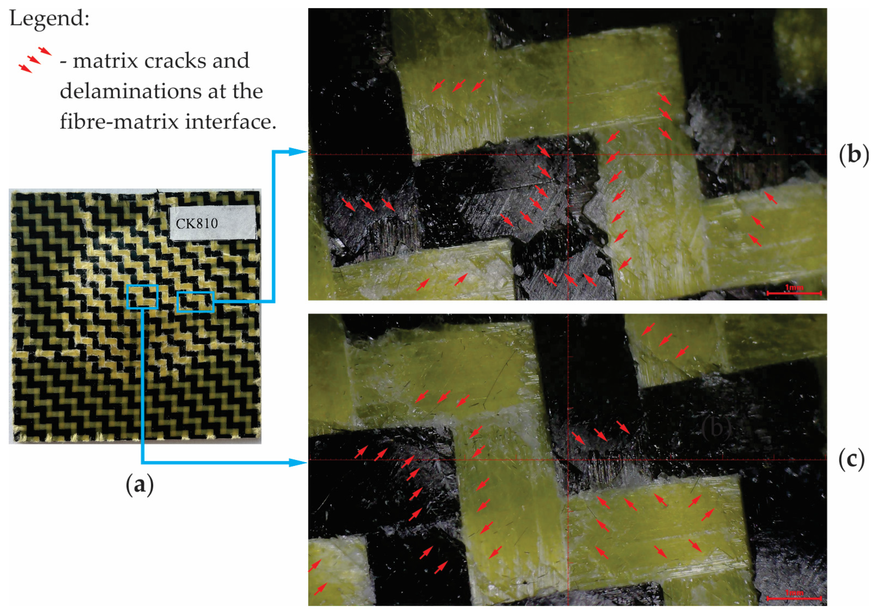 Materials 17 04055 g014