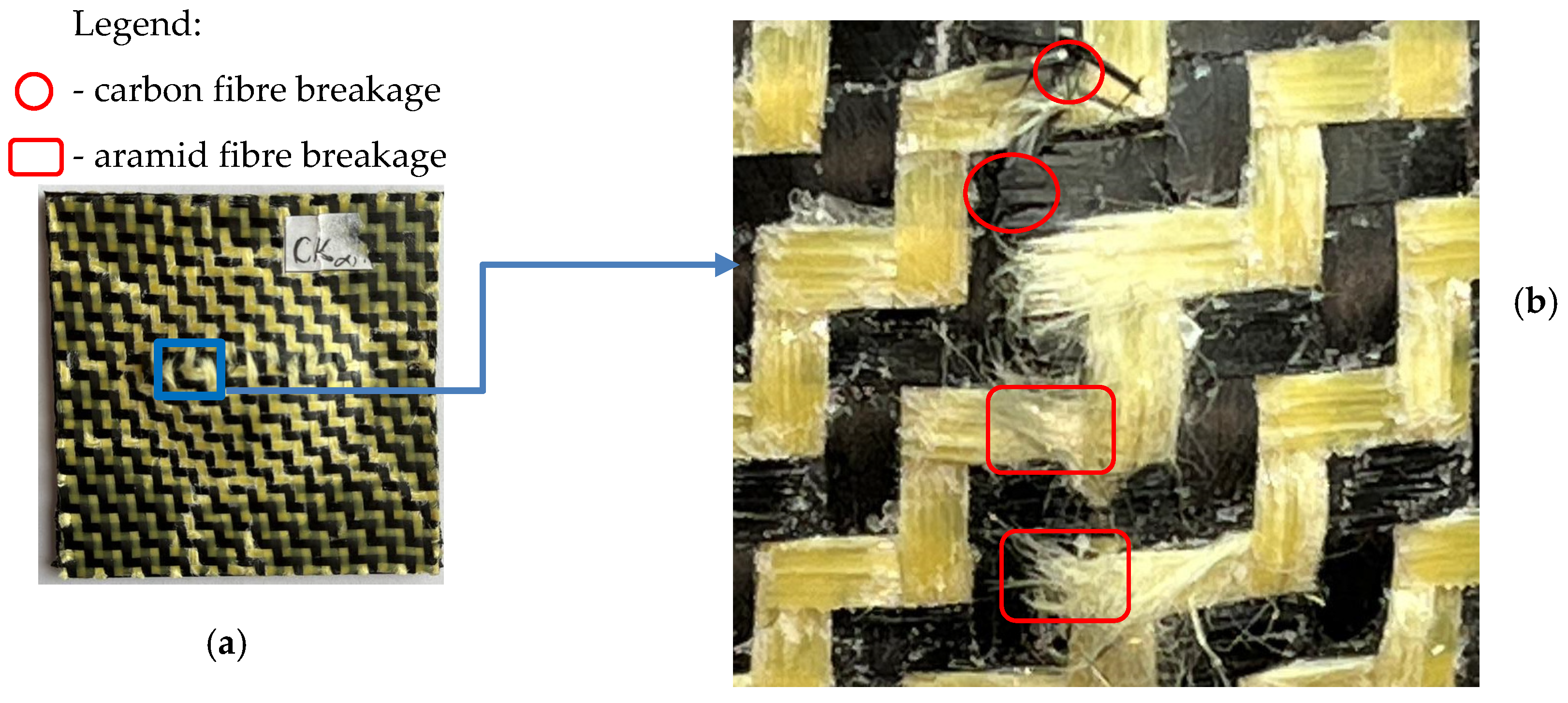 Materials 17 04055 g017