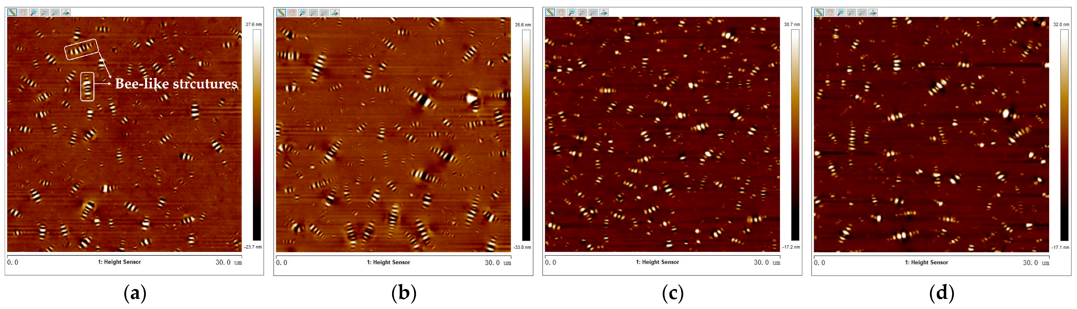 Materials 17 04061 g005
