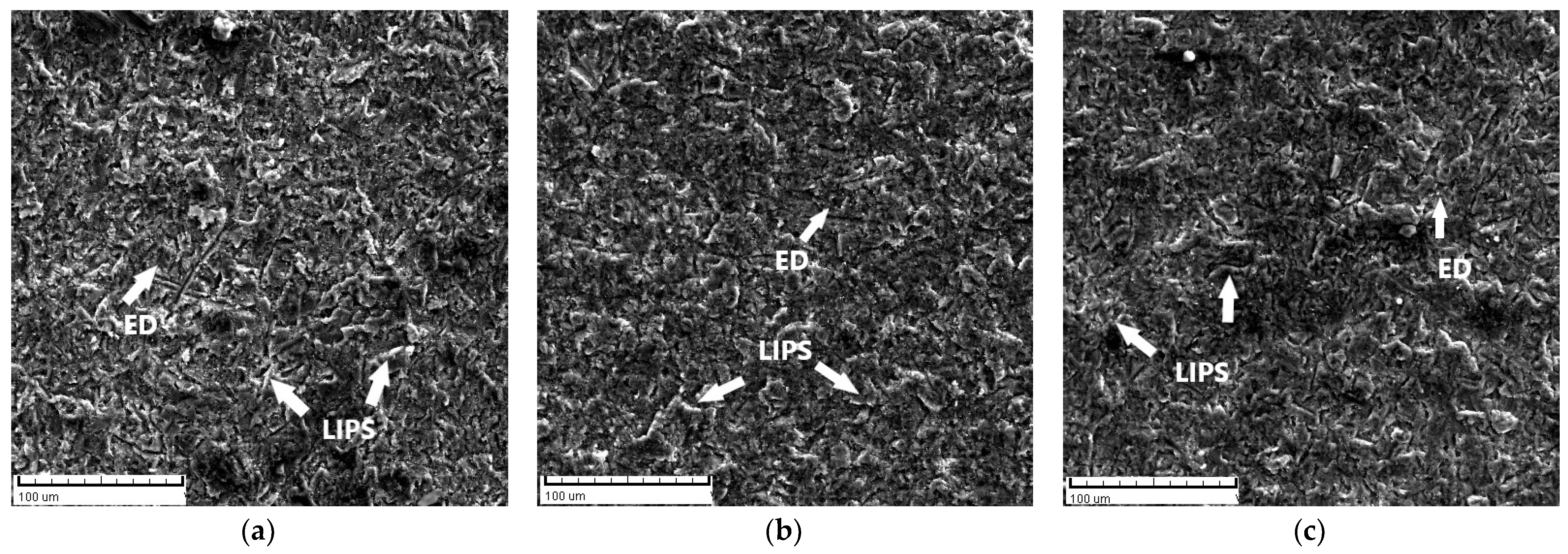 Materials 17 04070 g006