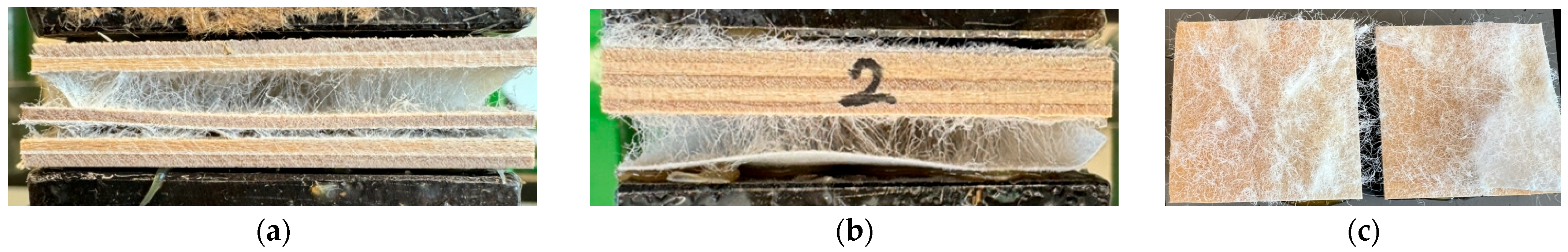 Materials 17 04080 g005 Materials 17 04080 g005