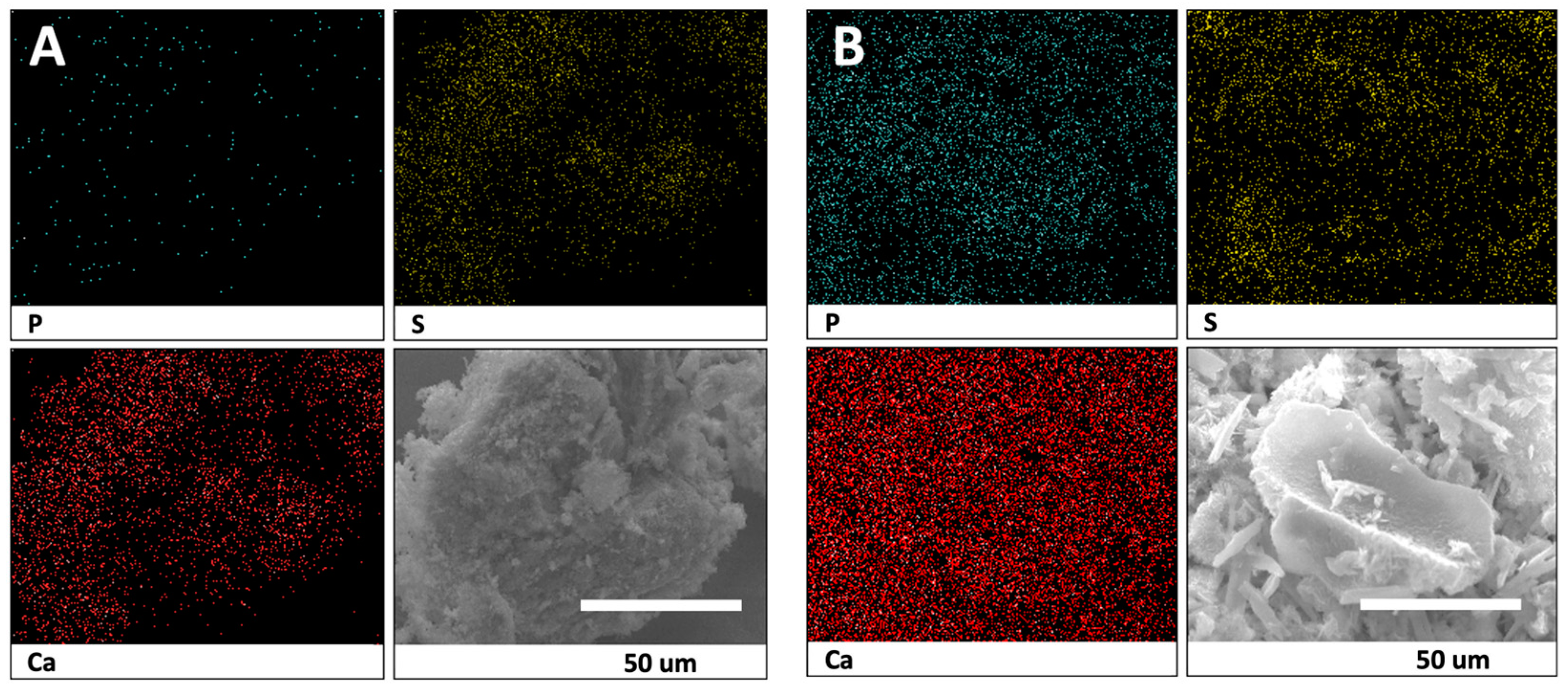 Materials 17 04086 g004