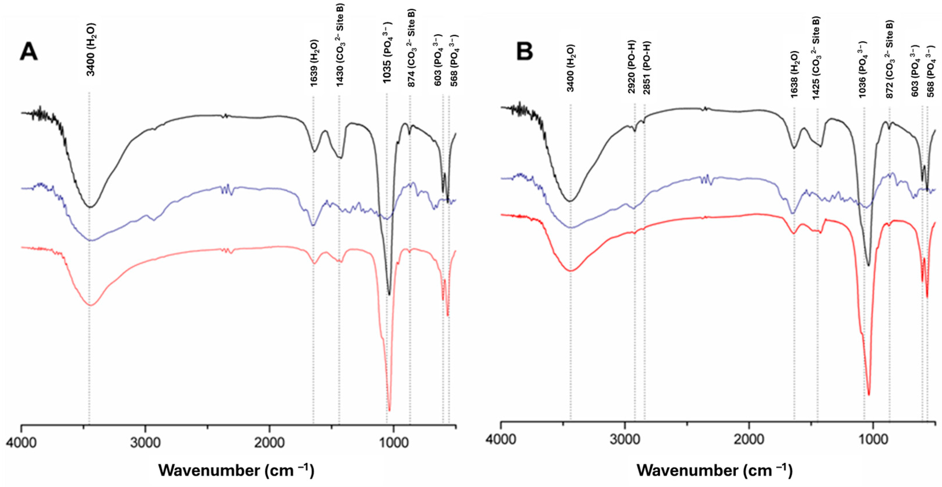 Materials 17 04092 g002