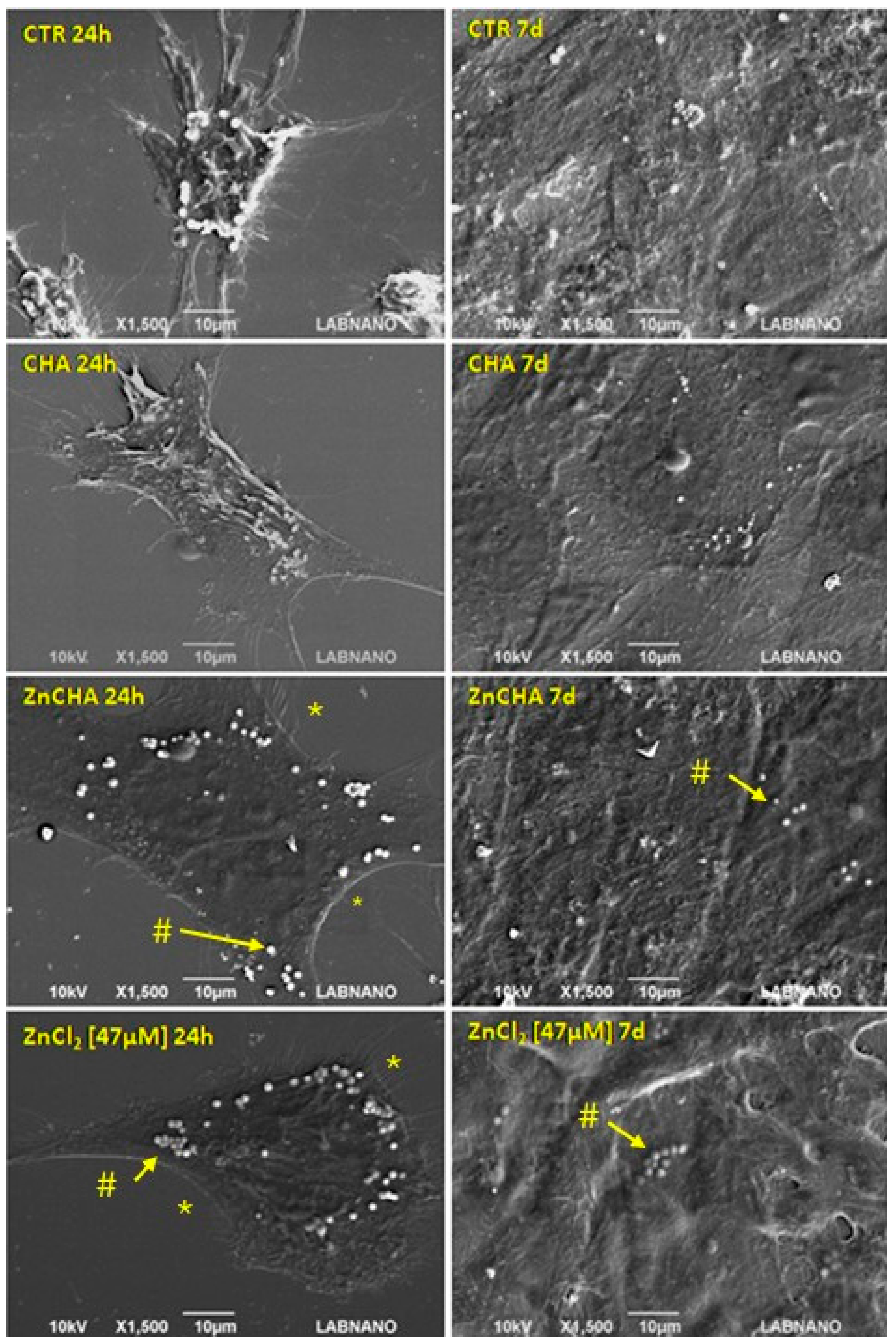 Materials 17 04092 g006