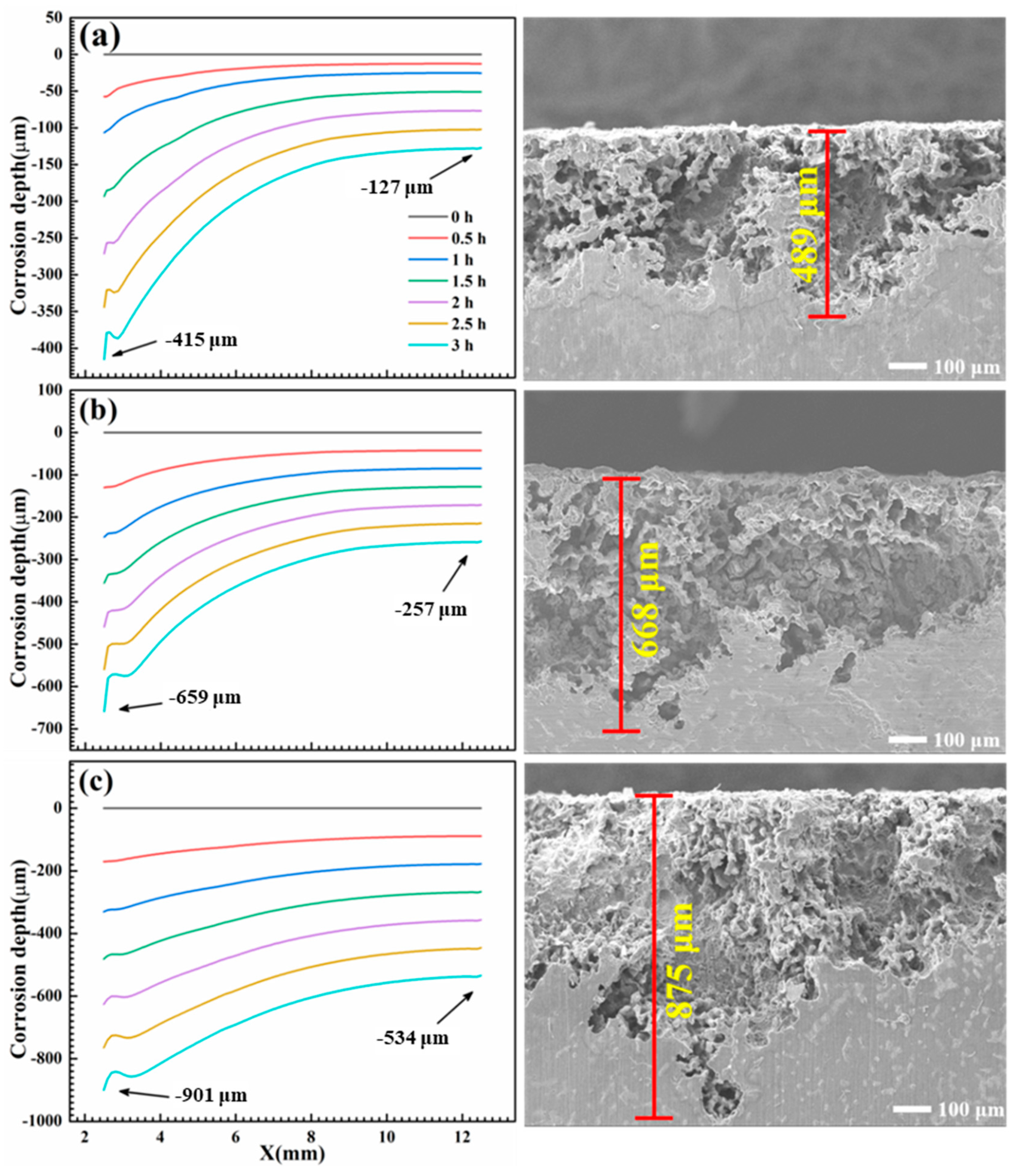Materials 17 04099 g013