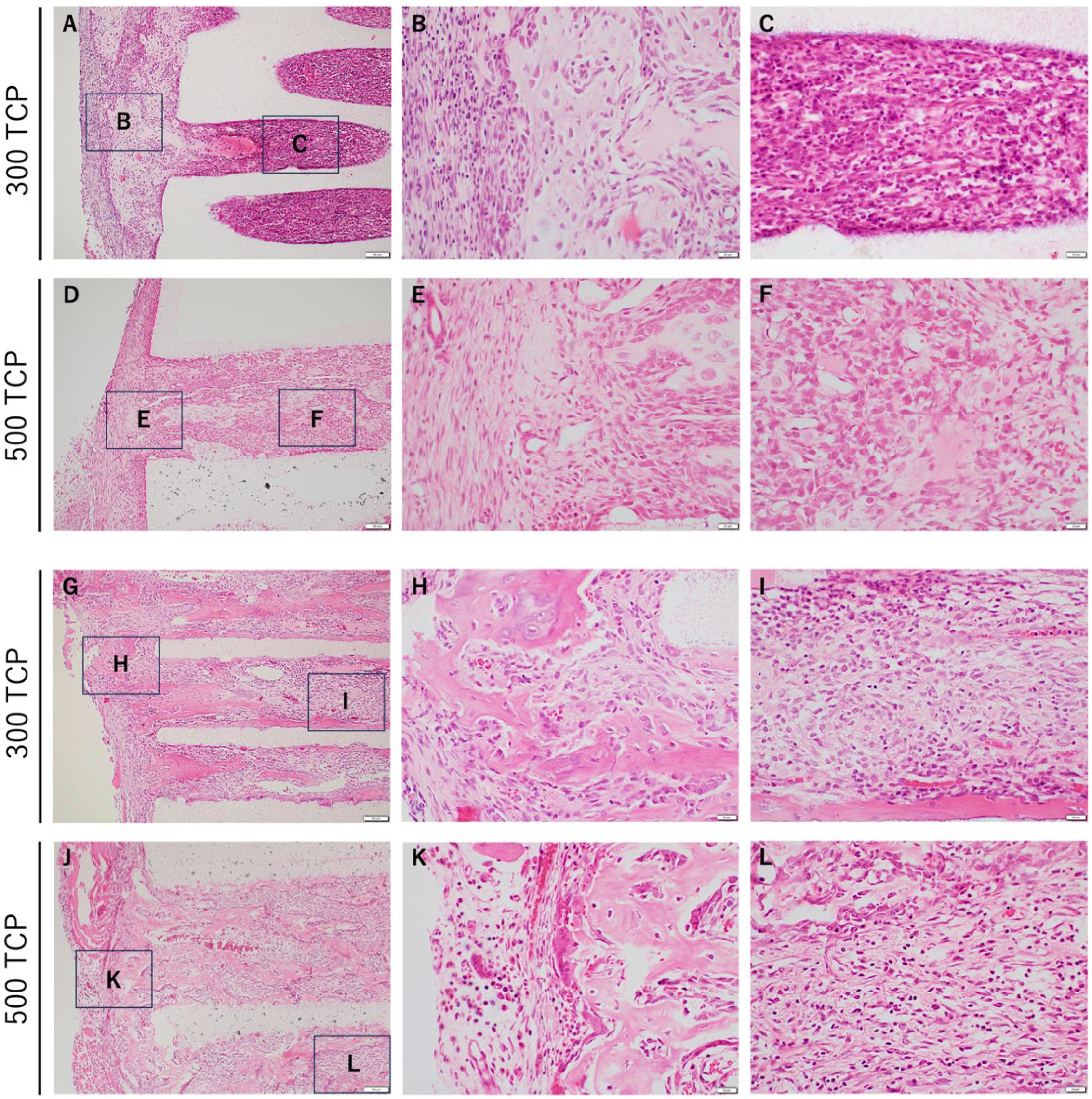 Materials 17 04108 g002