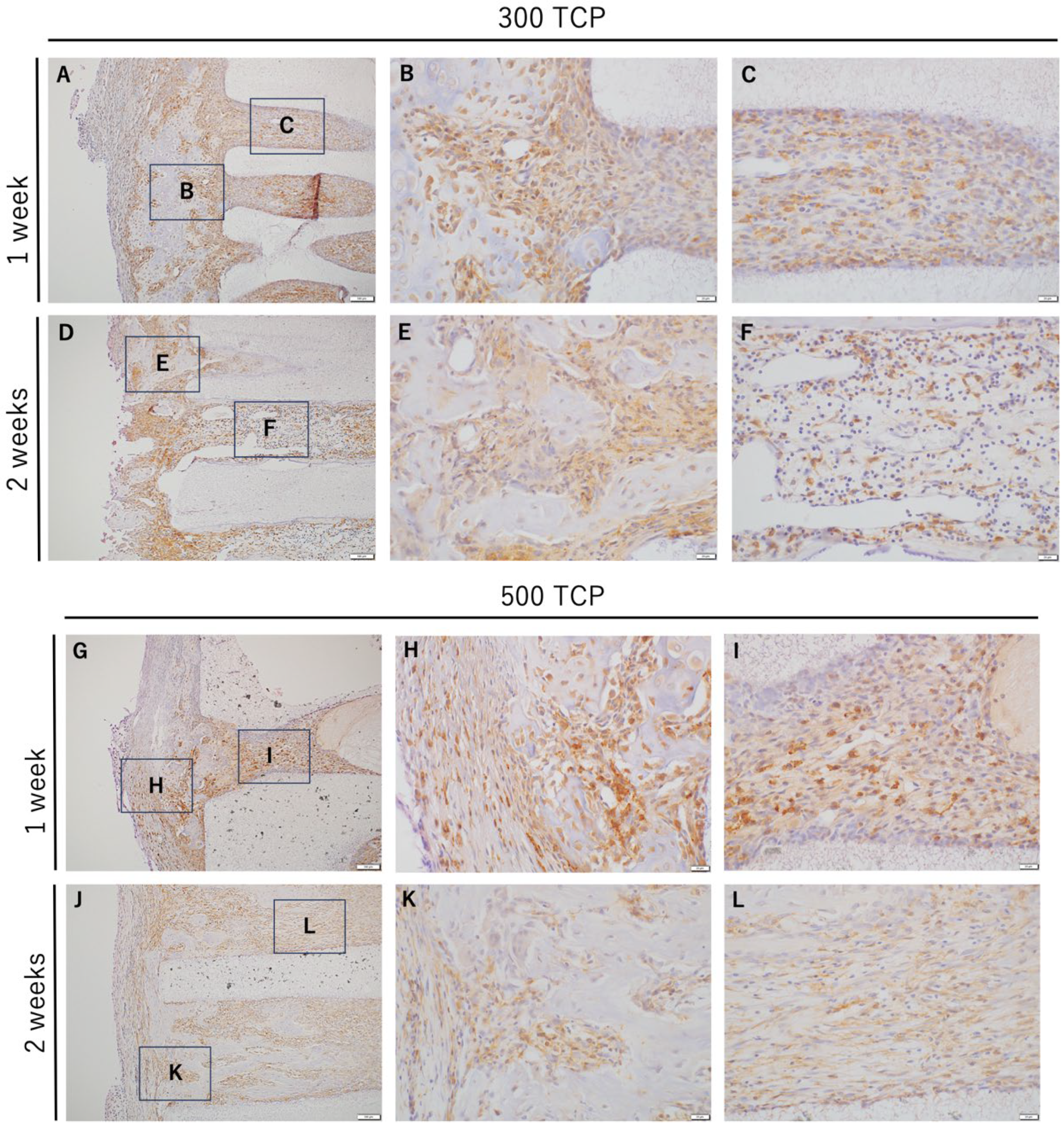 Materials 17 04108 g003