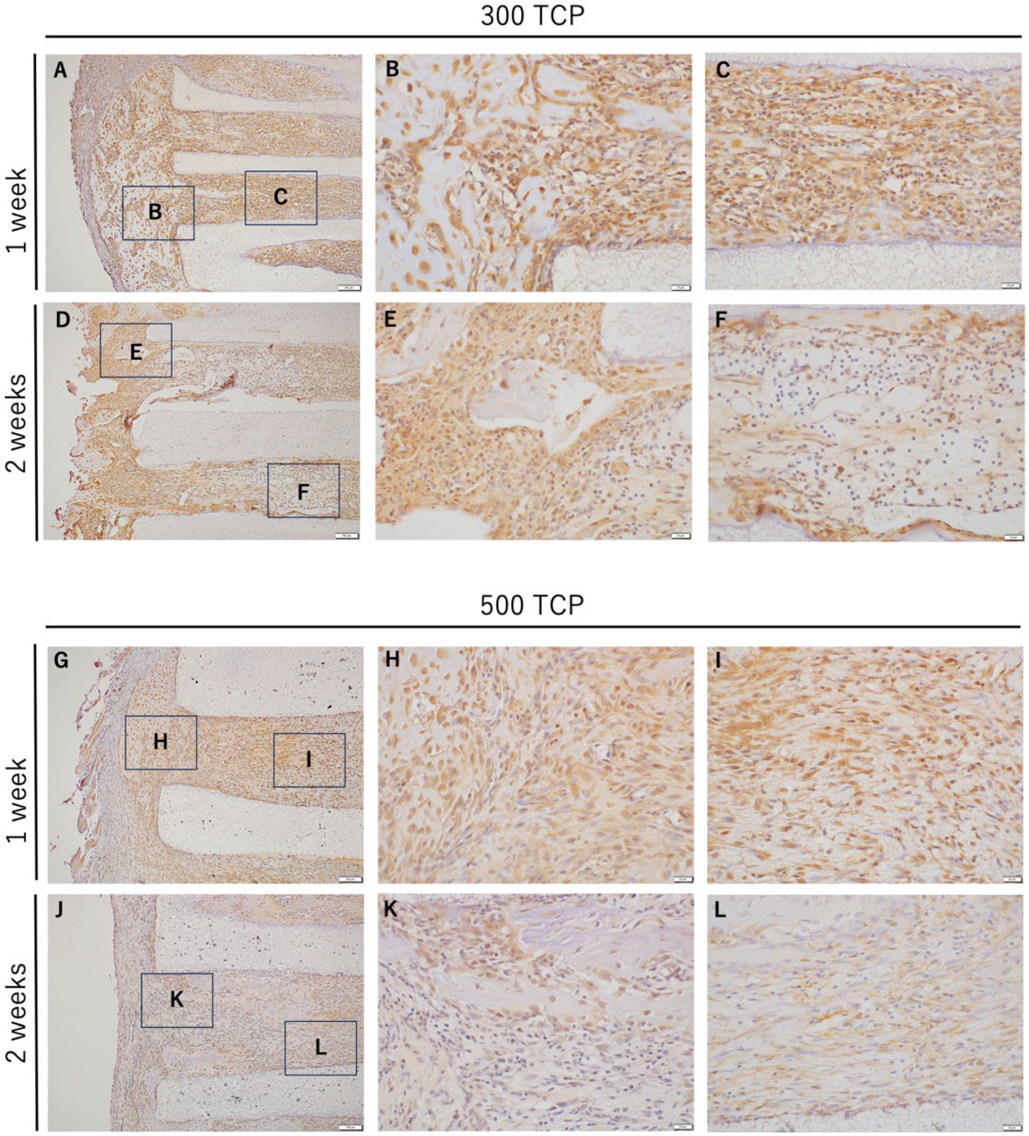 Materials 17 04108 g004