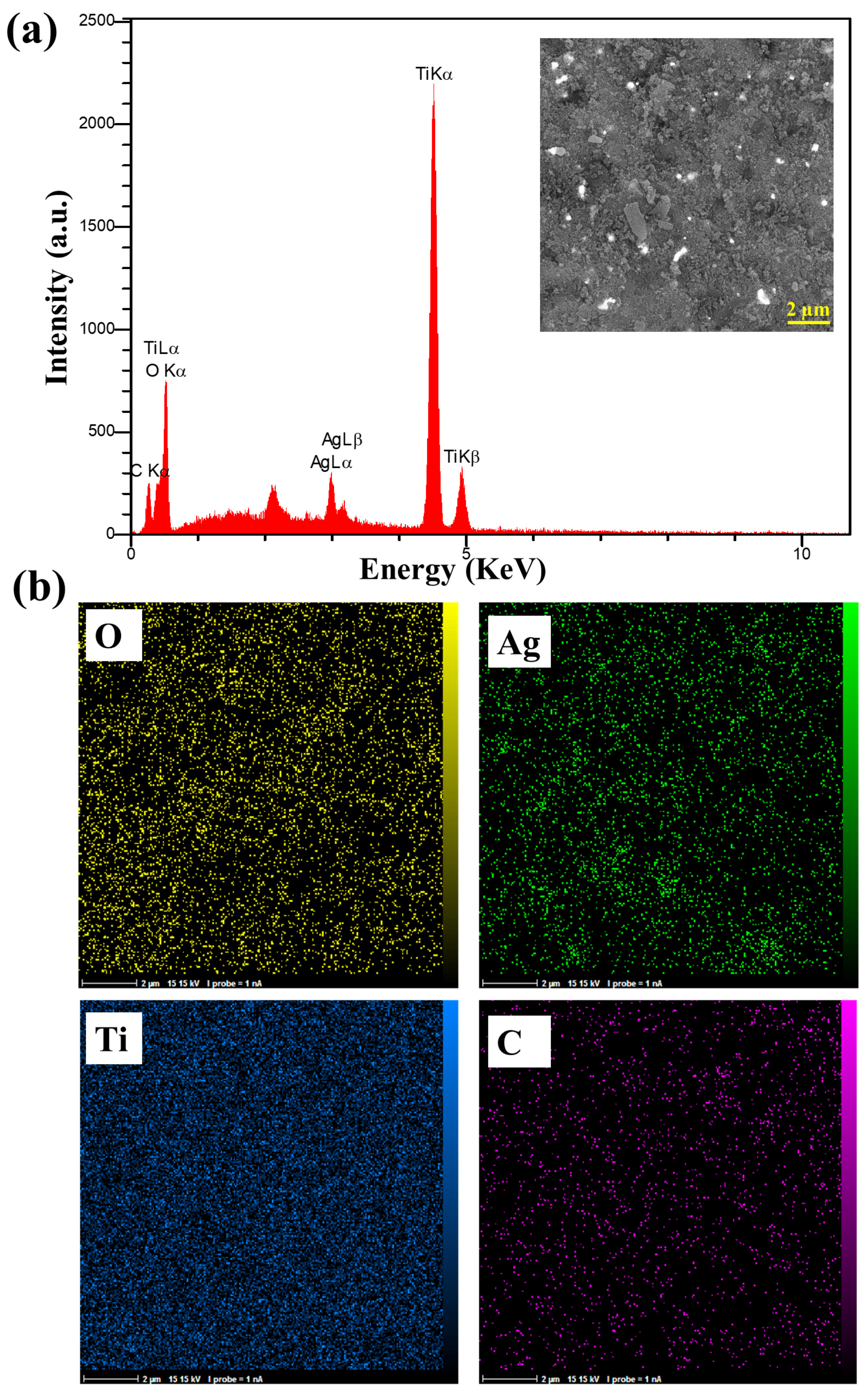 Materials 17 04118 g005