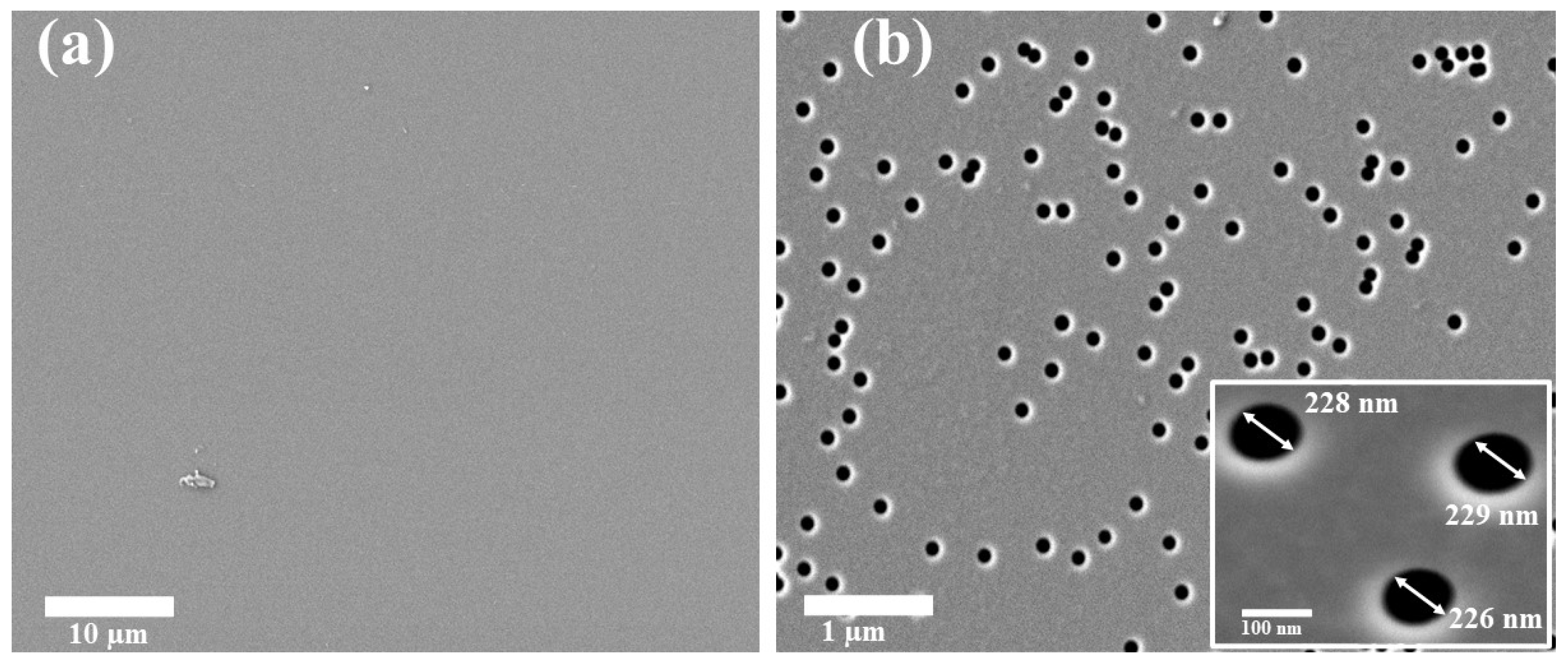 Materials 17 04149 g001