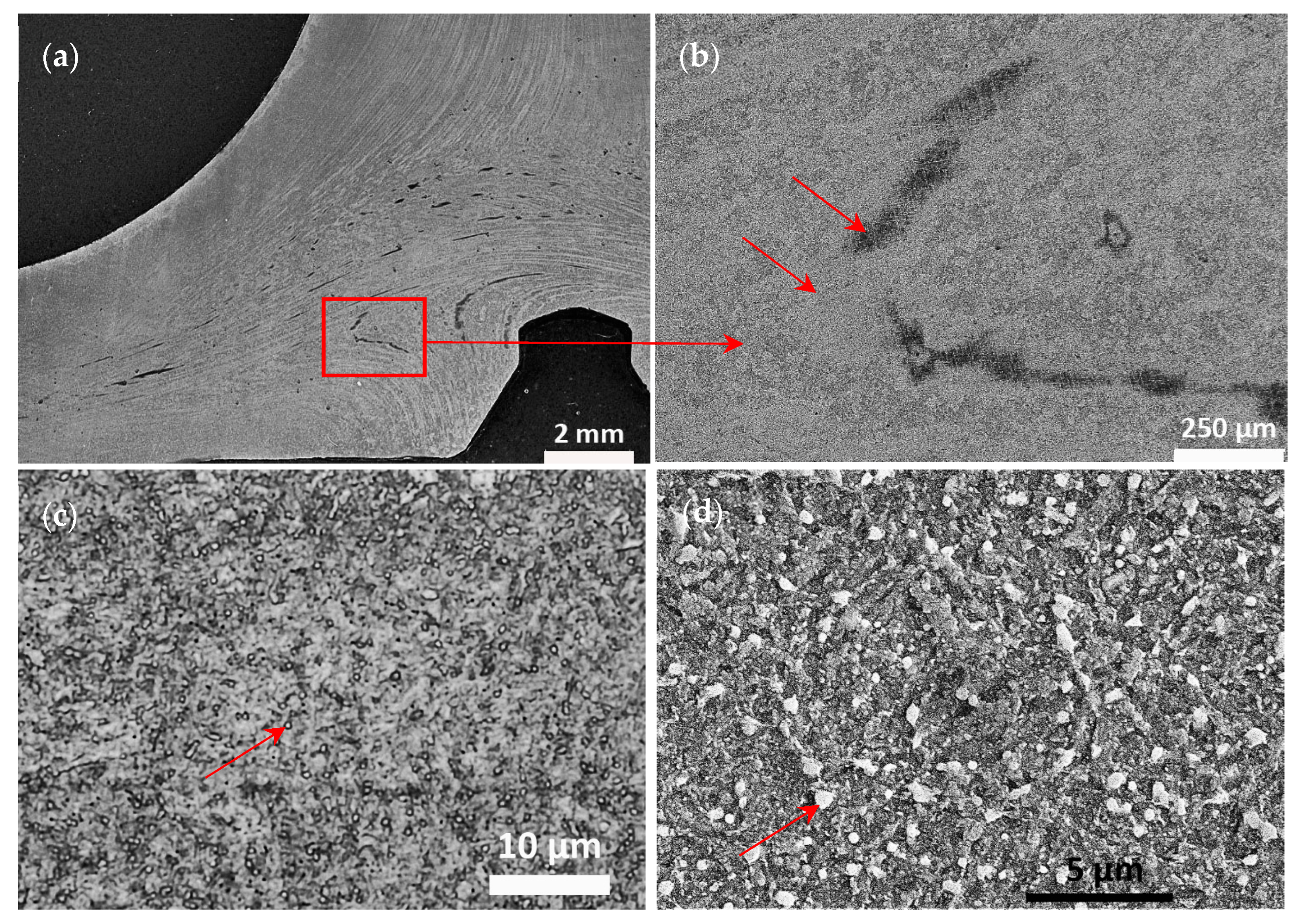 Materials 17 04156 g011