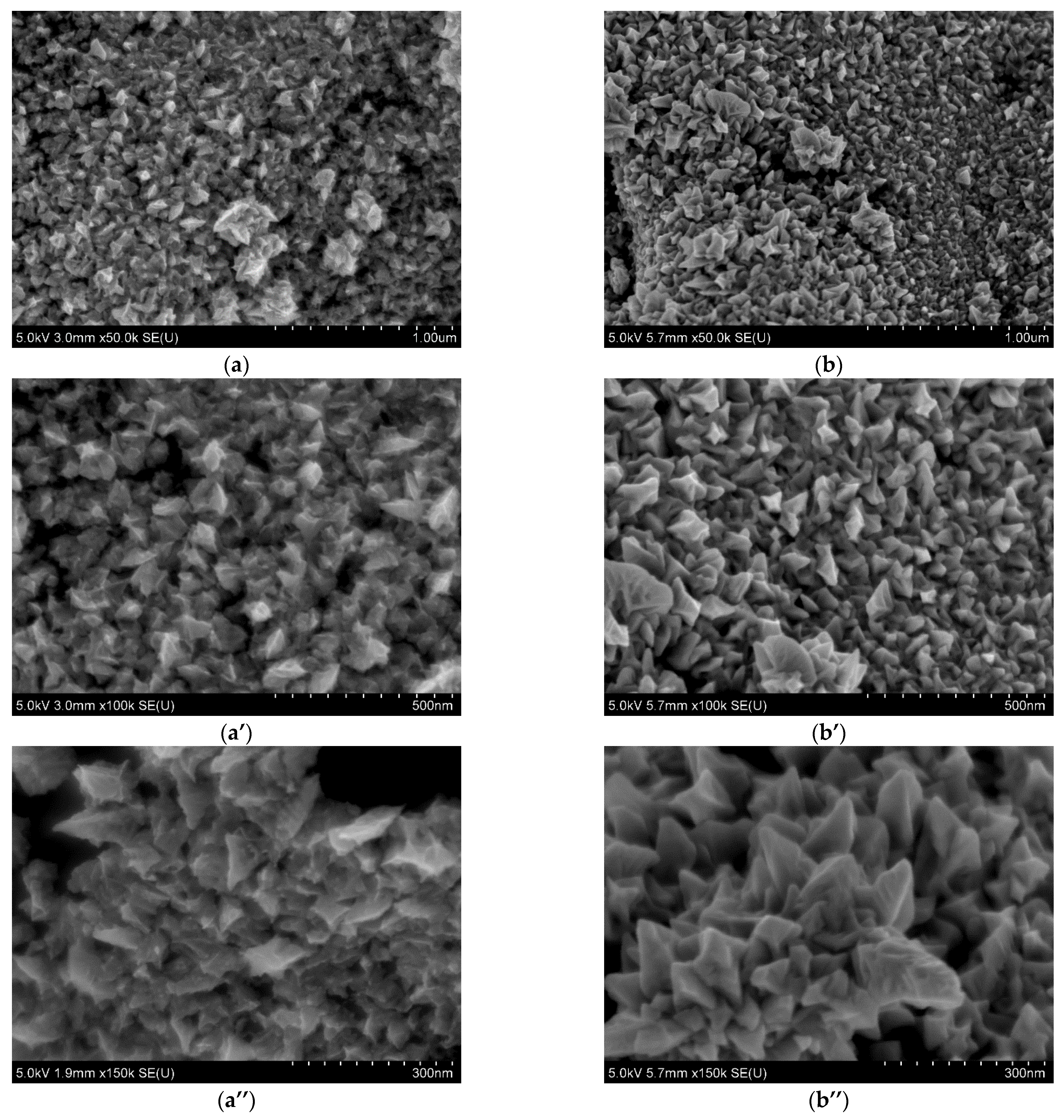 Materials 17 04165 g006