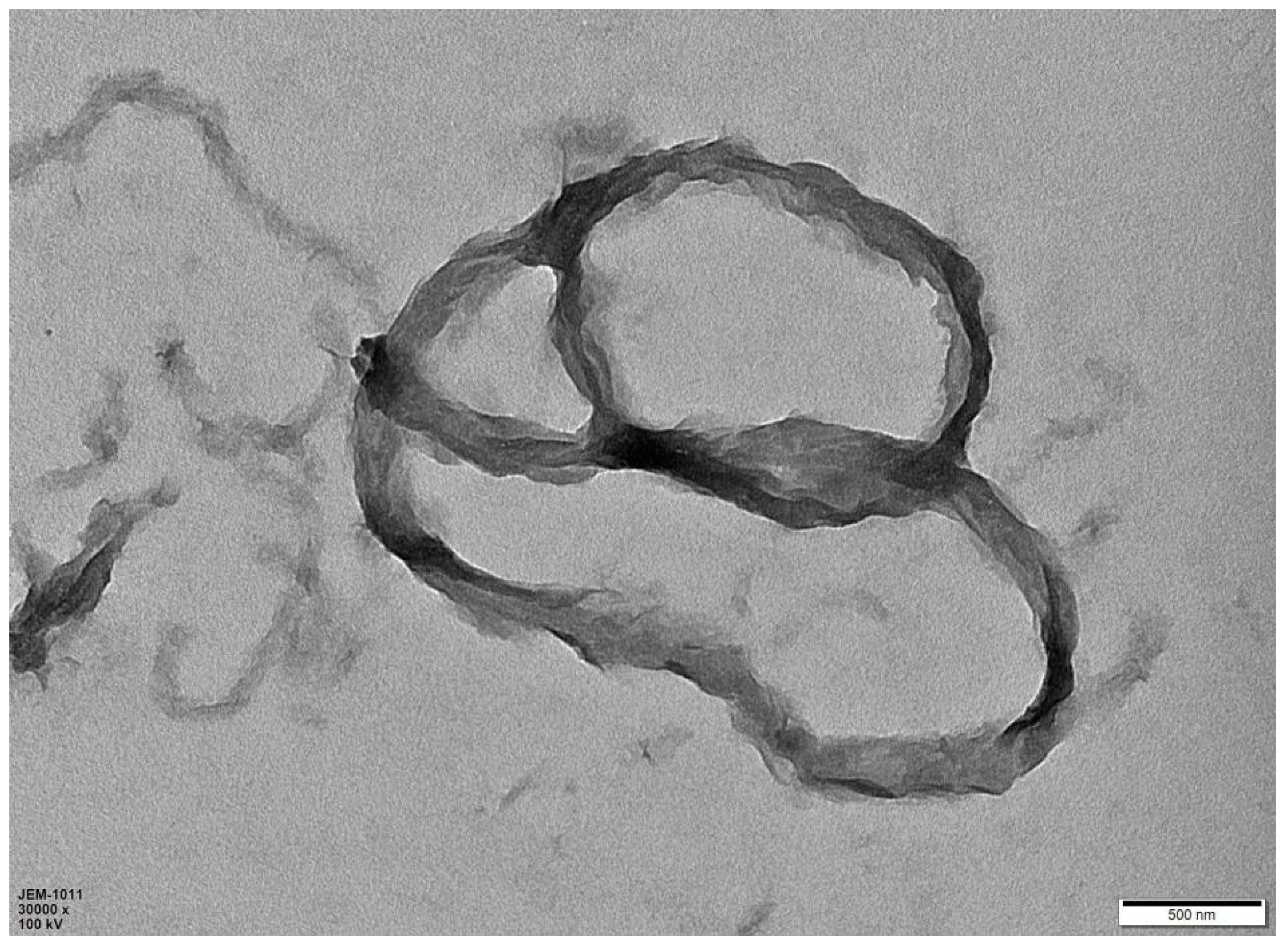 Materials 17 04167 g001