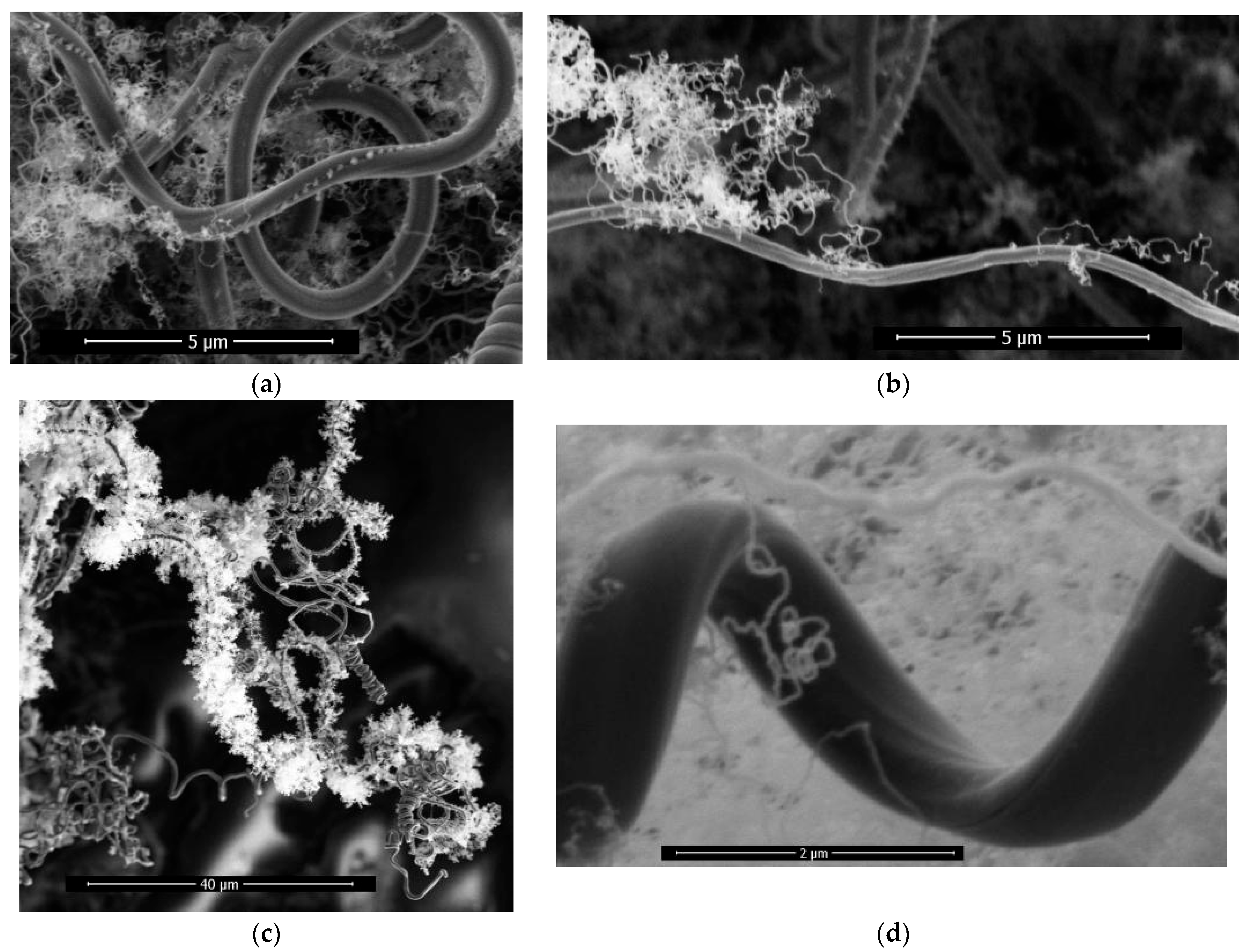 Materials 17 04181 g007