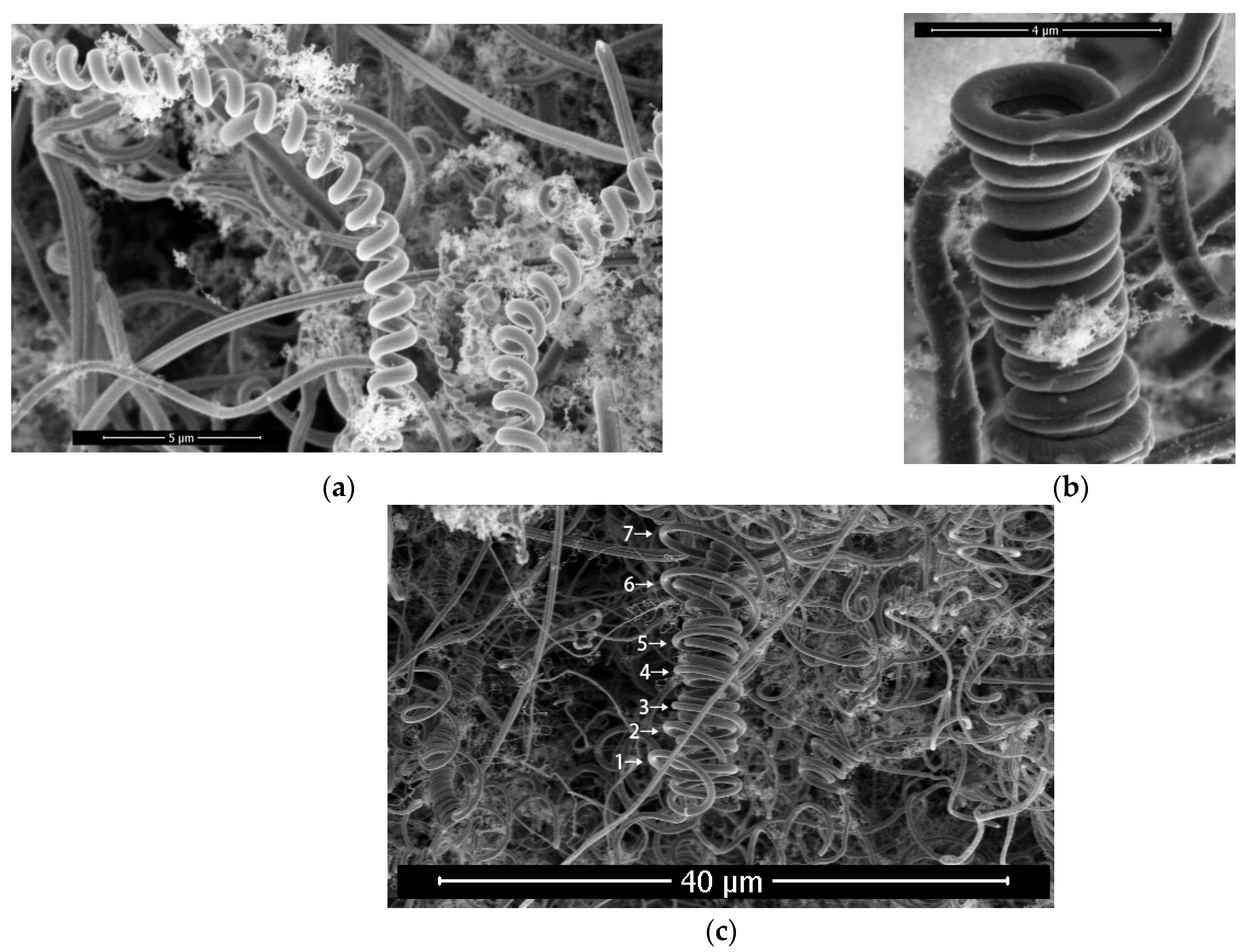 Materials 17 04181 g009