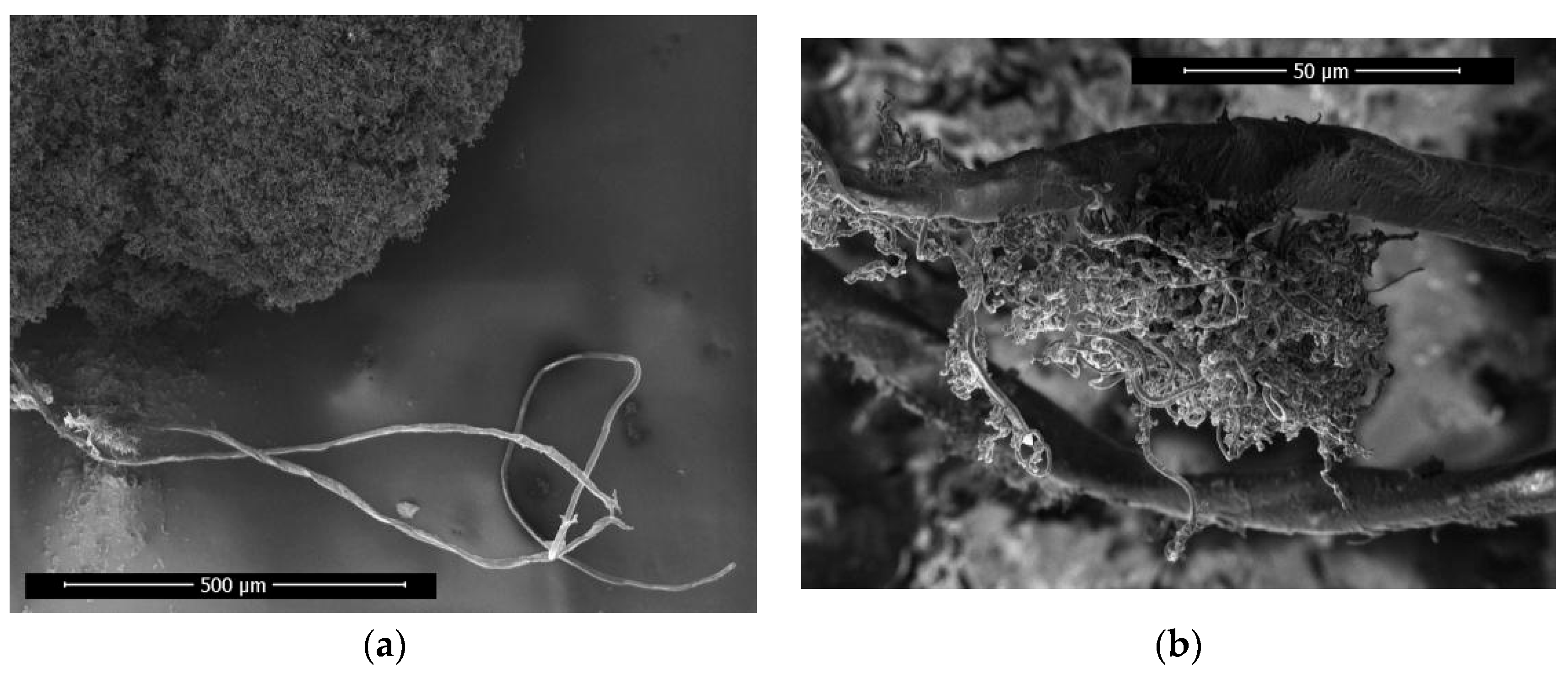 Materials 17 04181 g011