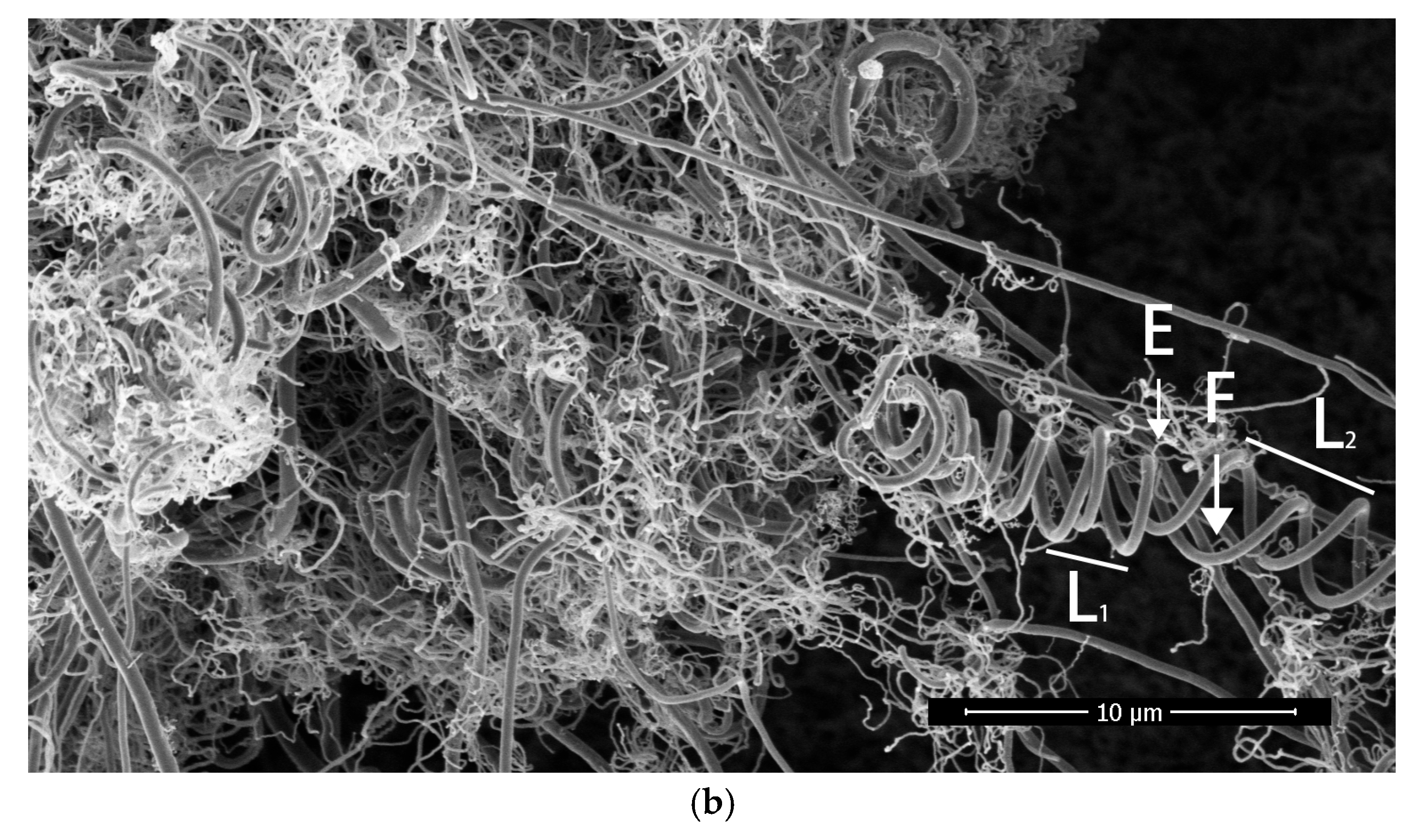 Materials 17 04181 g012b