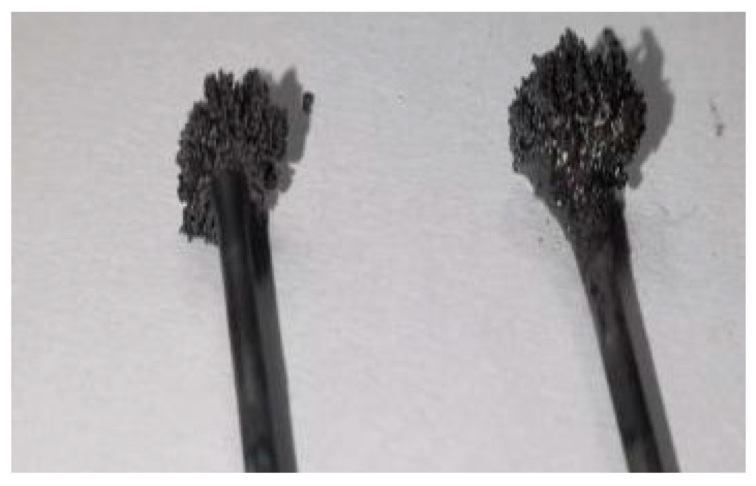 Materials 17 04181 g013