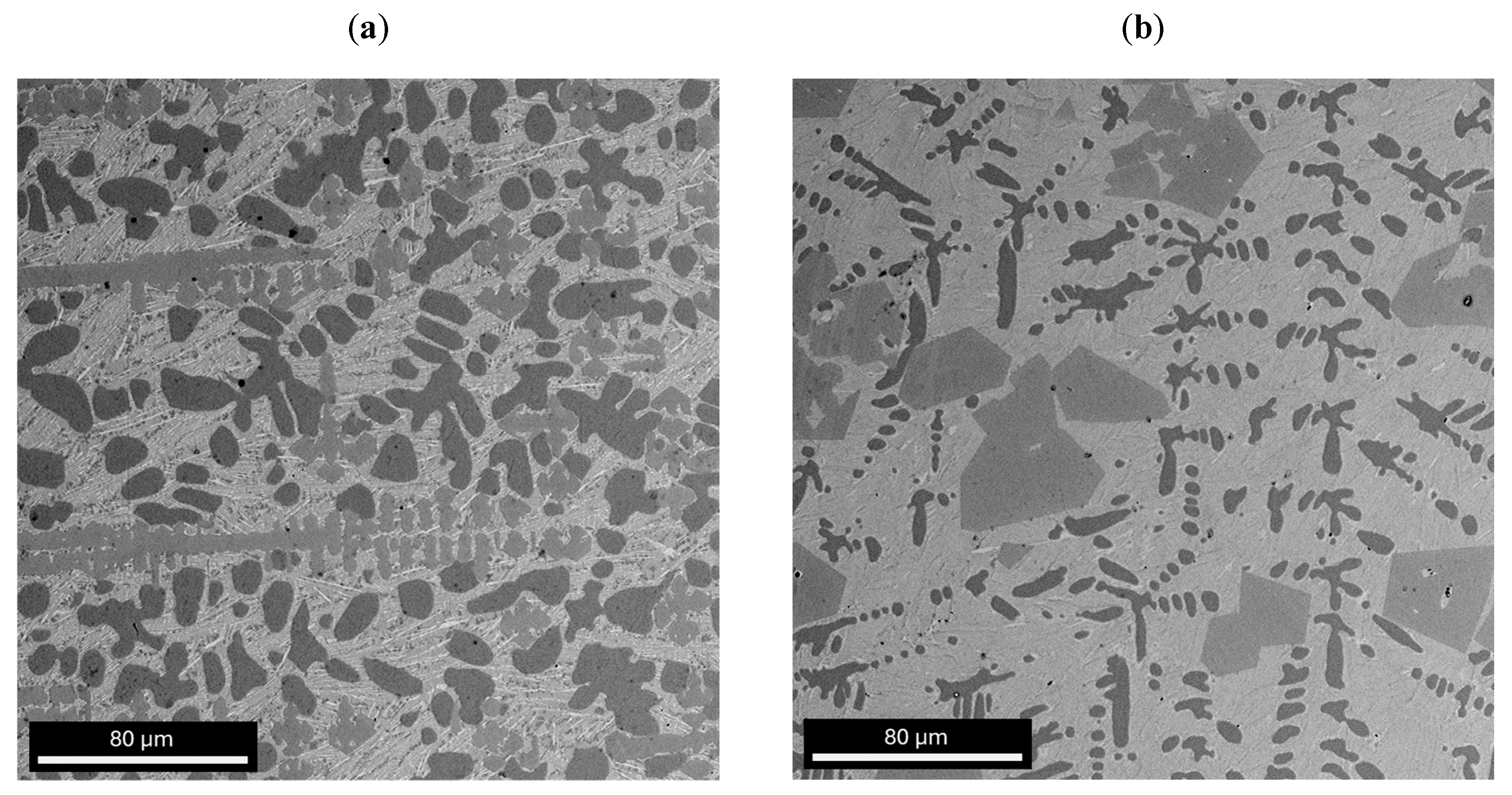 Materials 17 04182 g003 Materials 17 04182 g003
