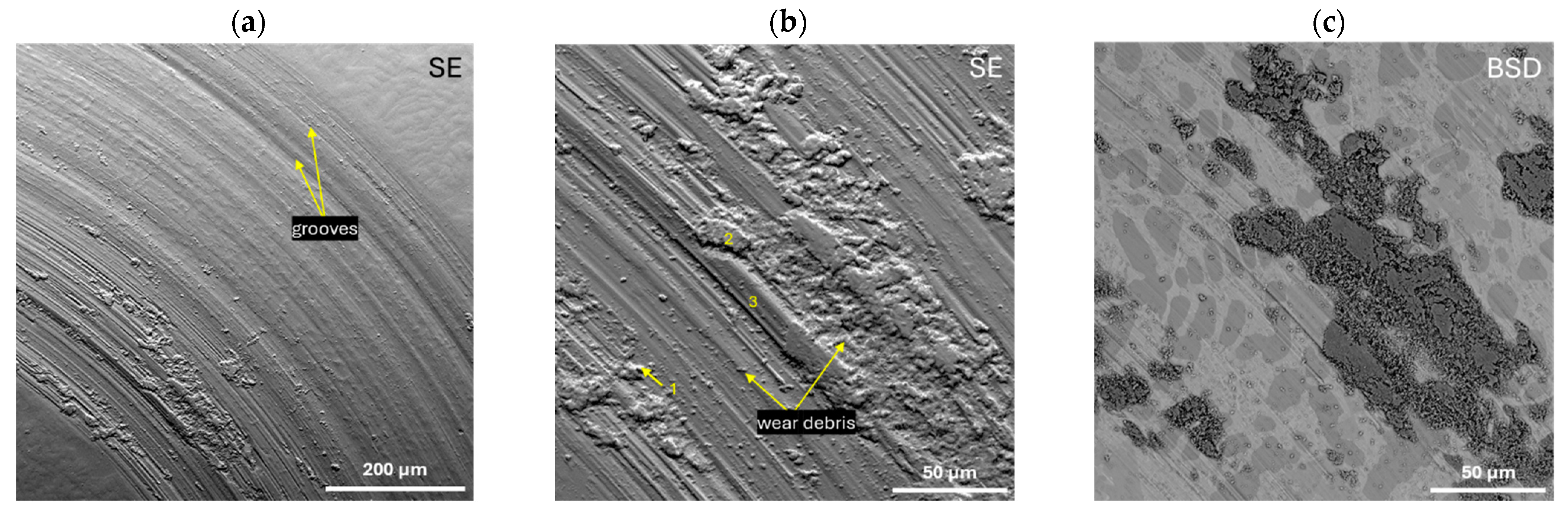 Materials 17 04182 g011 Materials 17 04182 g011