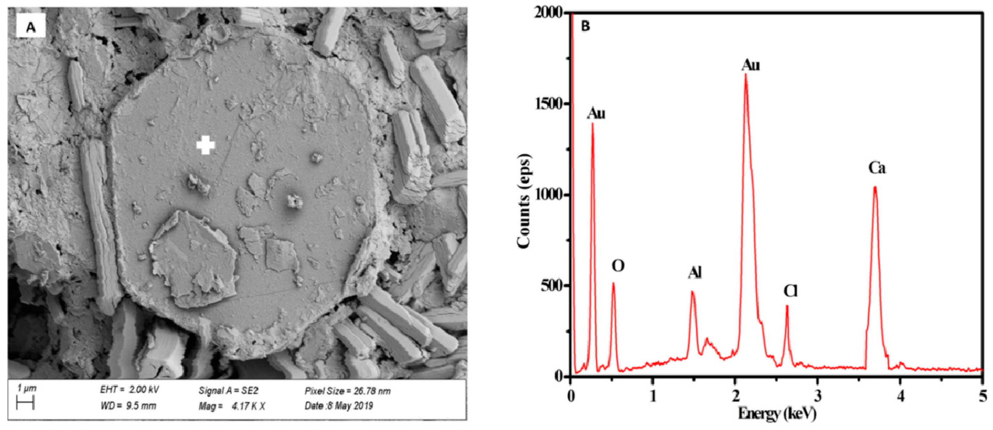 Materials 17 04183 g013