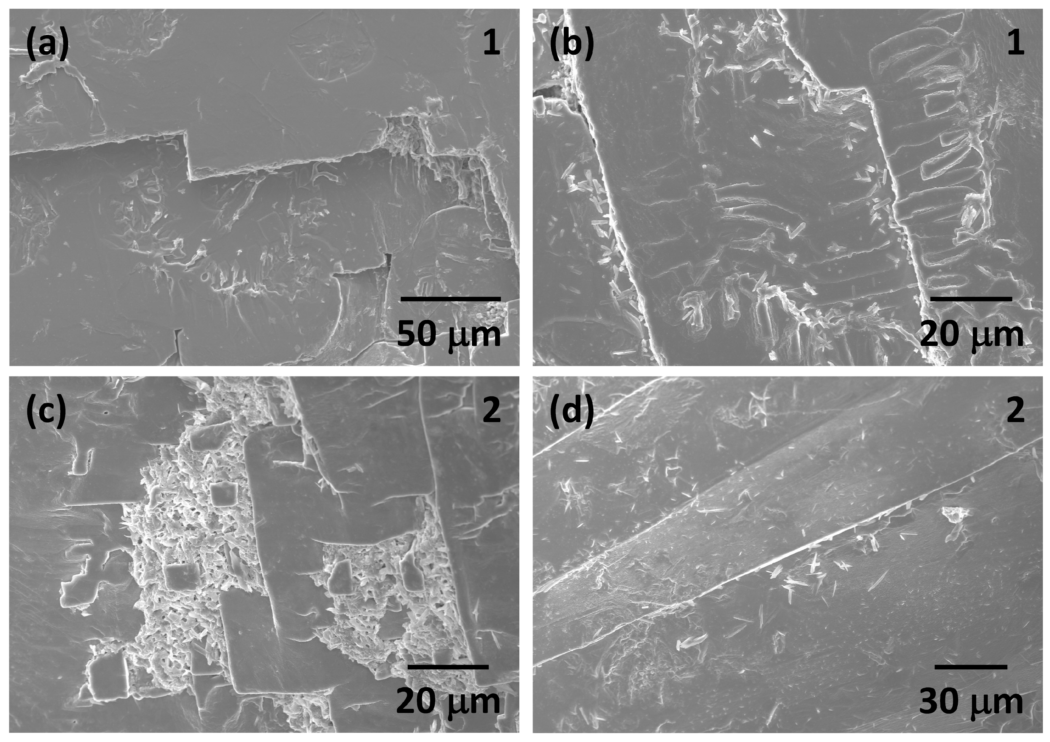 Materials 17 04195 g005