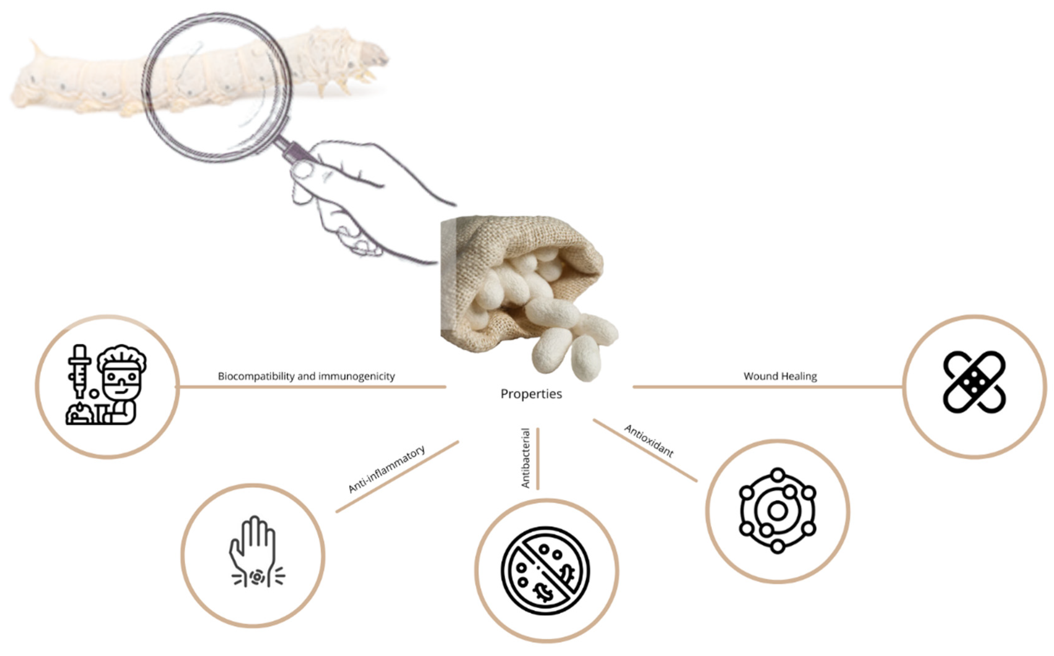 Enhancing Wound Healing: A Comprehensive Review of Sericin