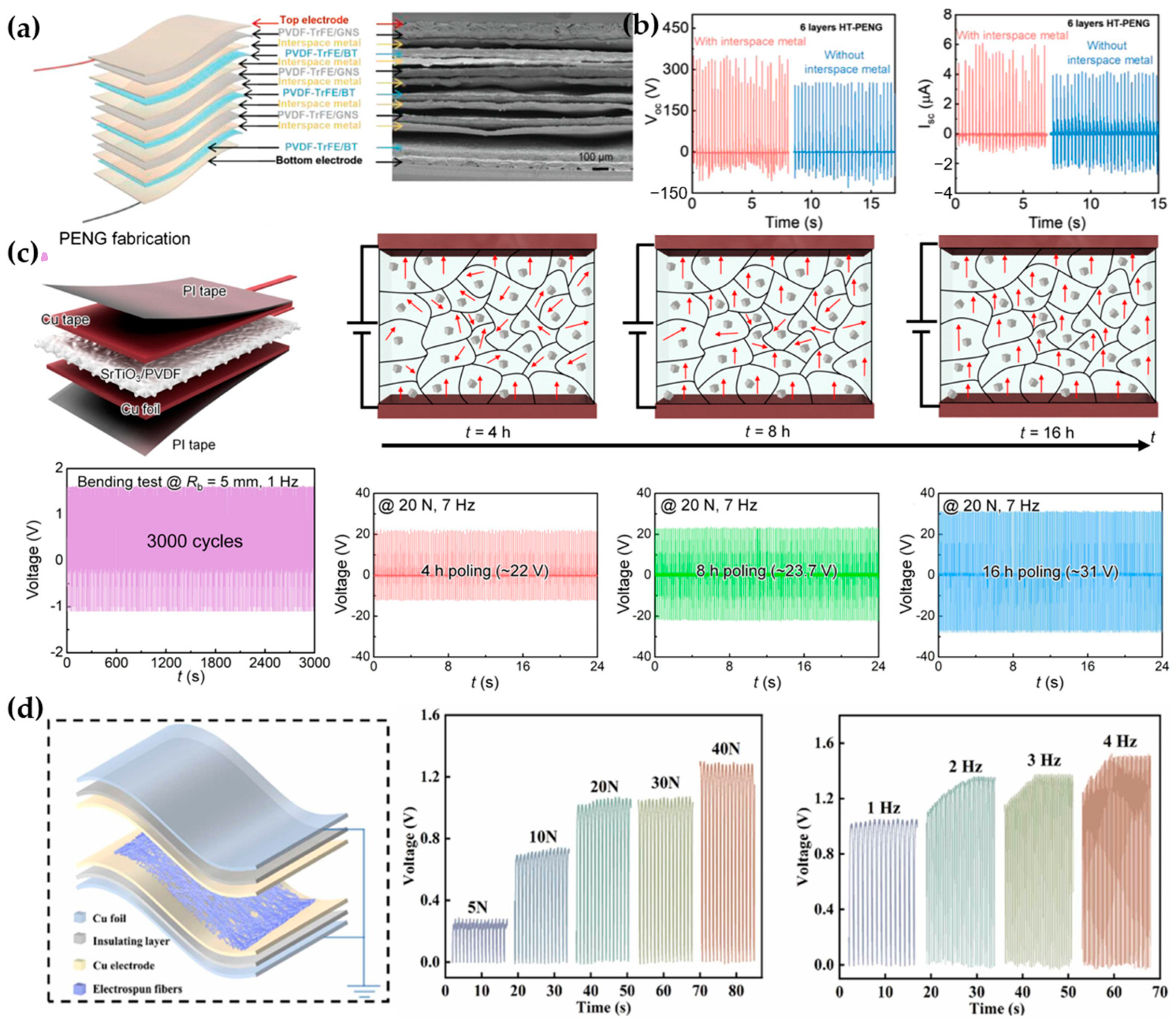 Materials 17 04204 g005