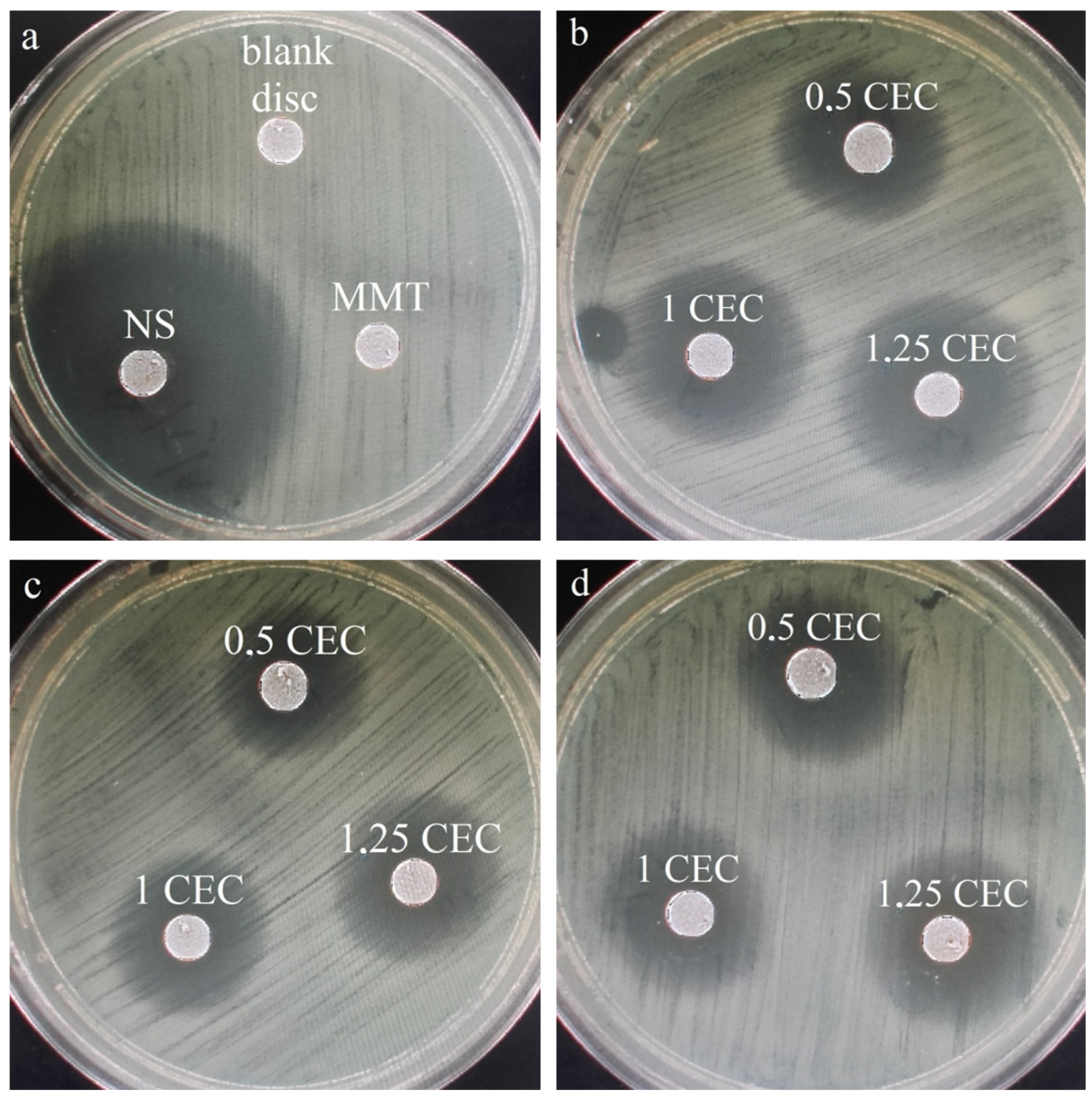 Materials 17 04207 g009