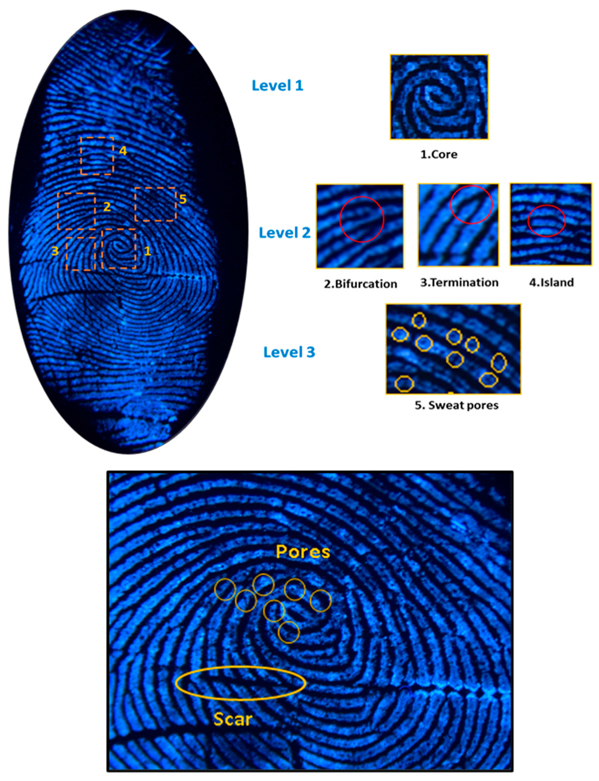 Materials 17 04217 g009