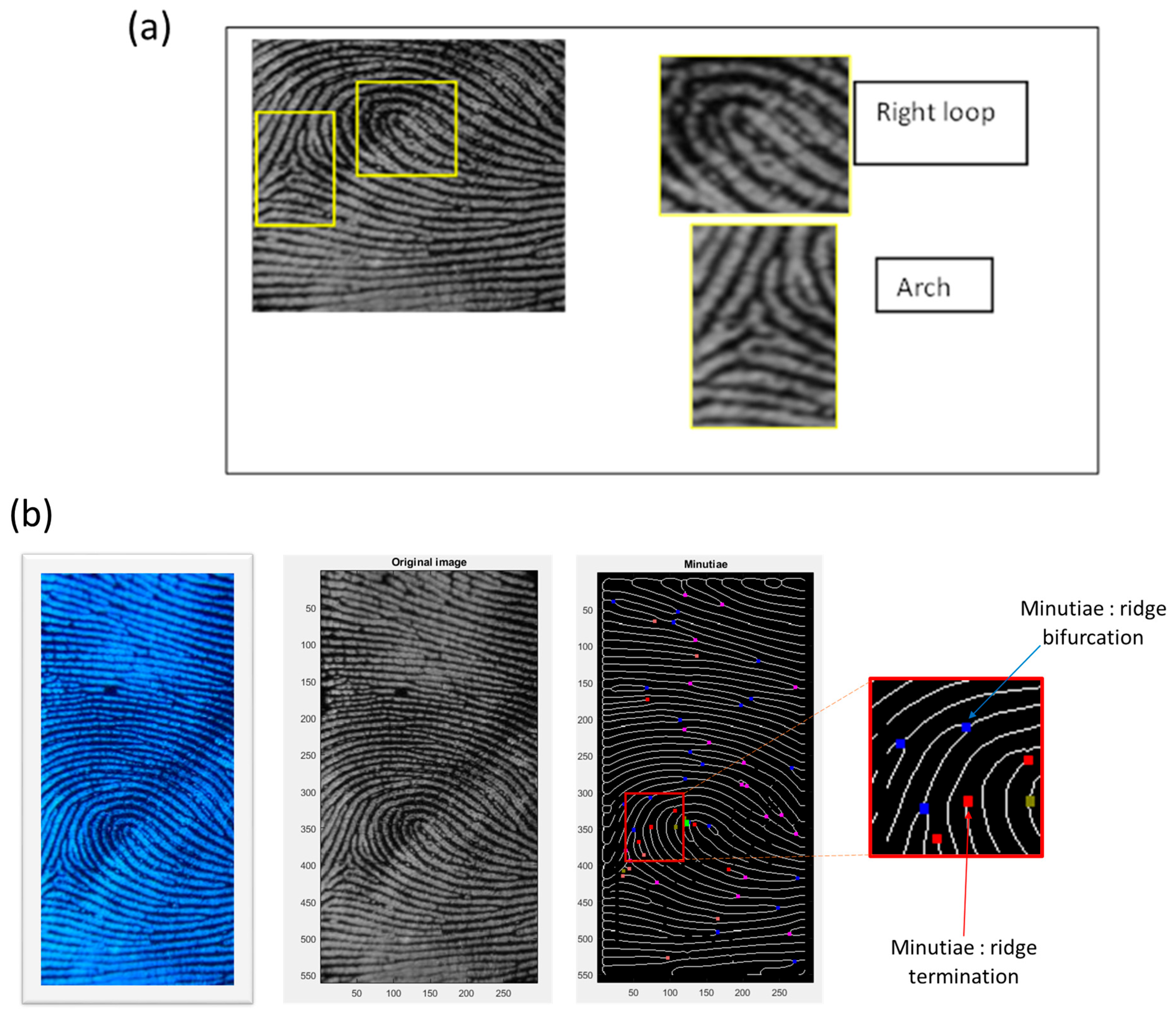 Materials 17 04217 g010a