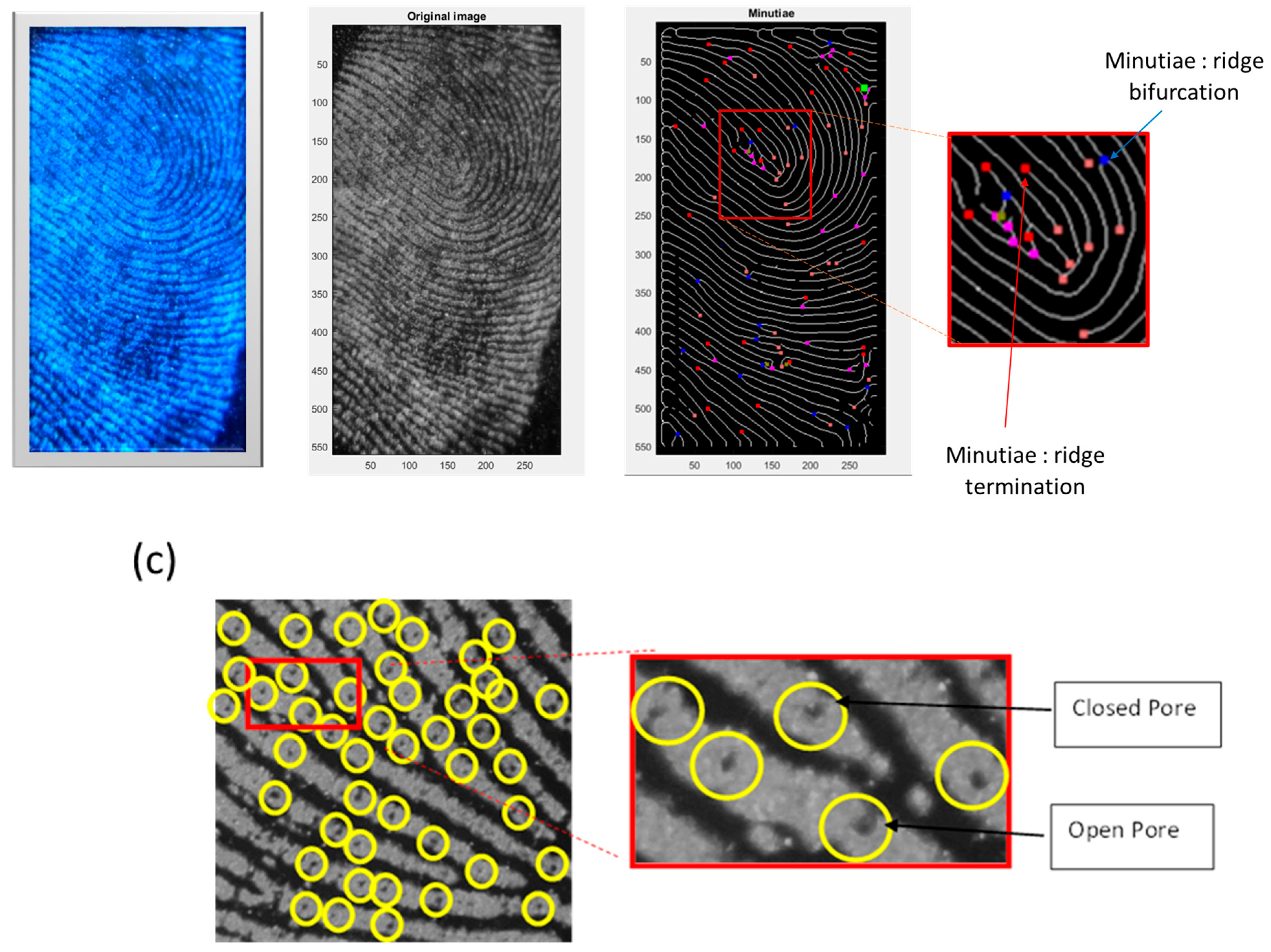 Materials 17 04217 g010b