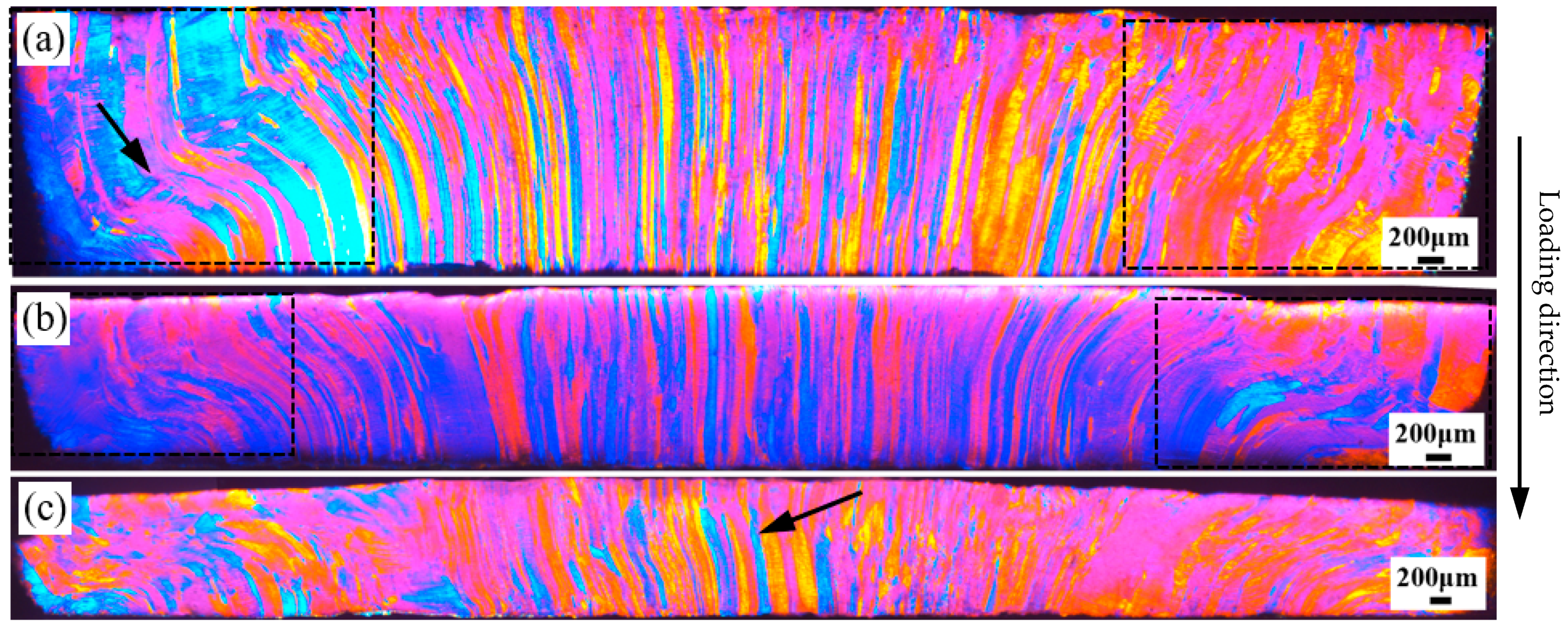 Materials 17 04219 g008