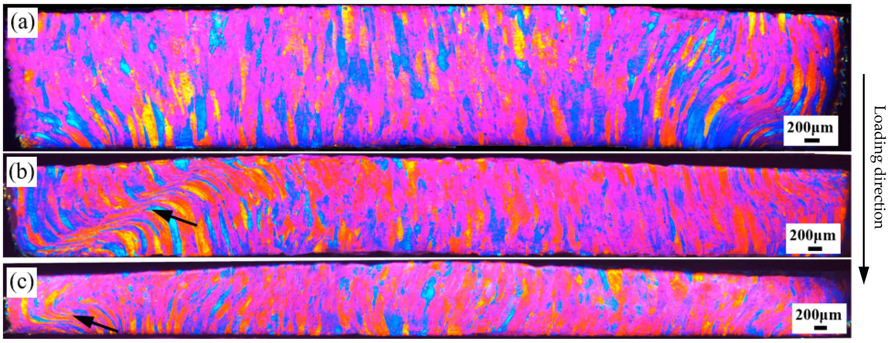 Materials 17 04219 g010