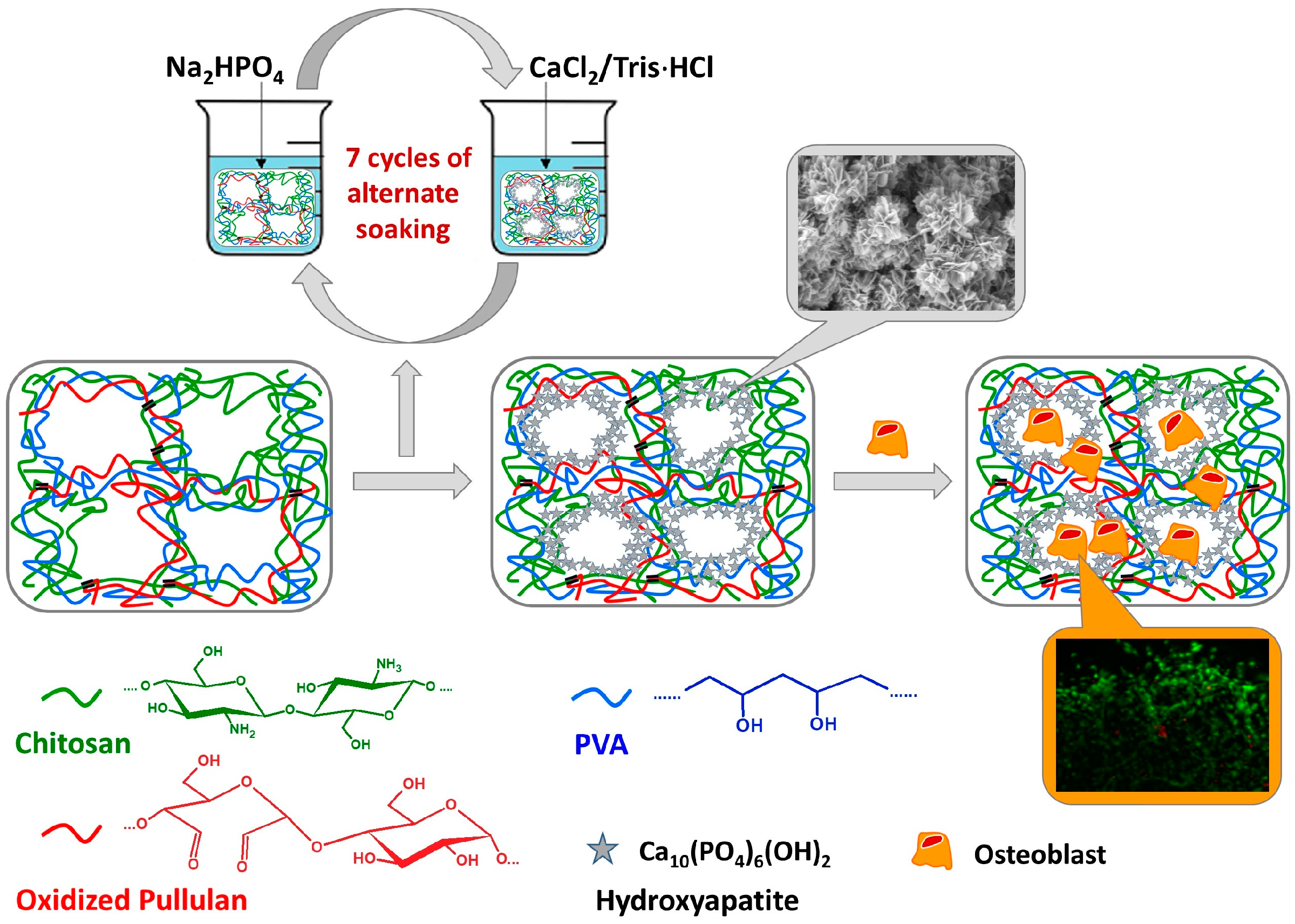 Materials 17 04220 g005