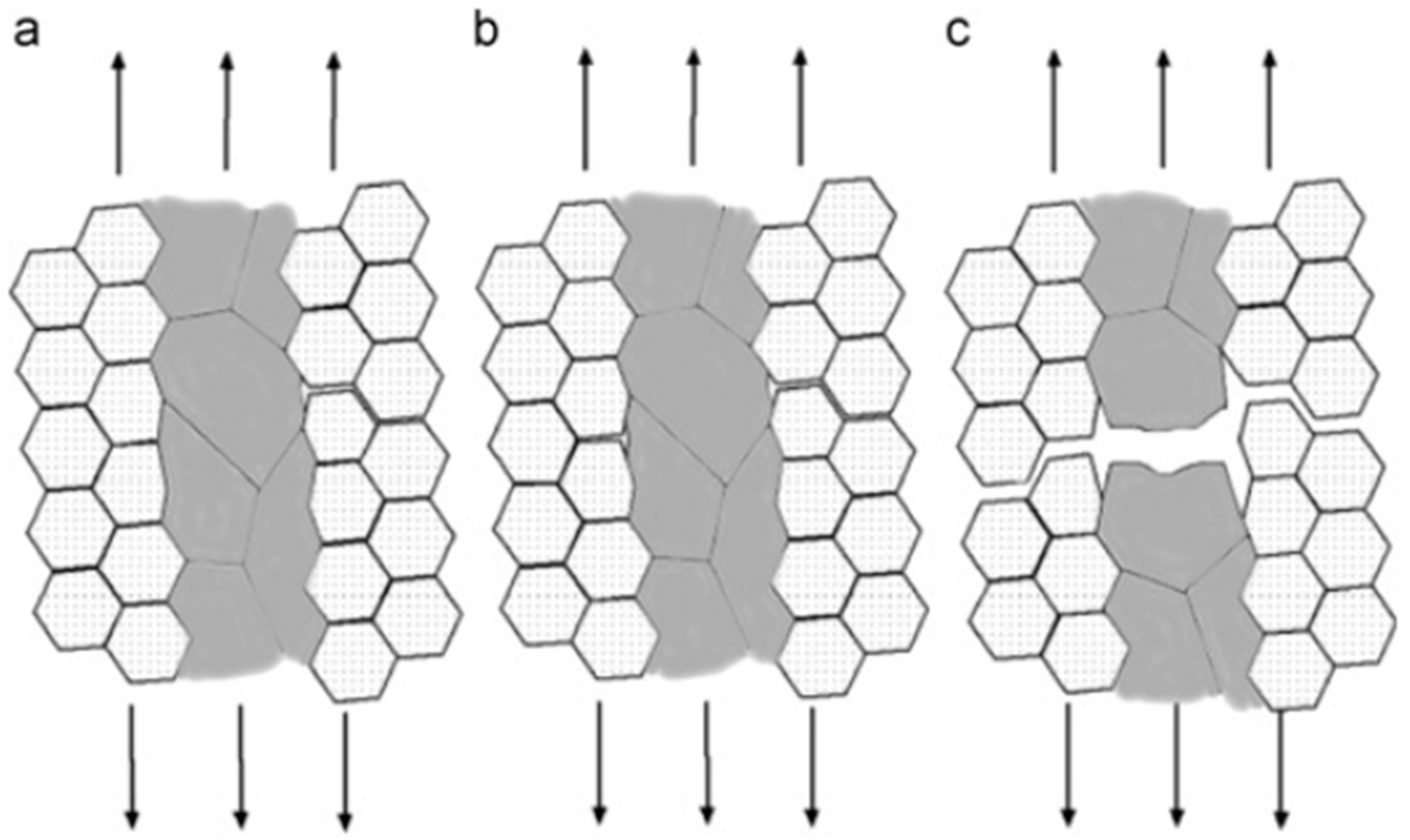 Materials 17 04235 g010