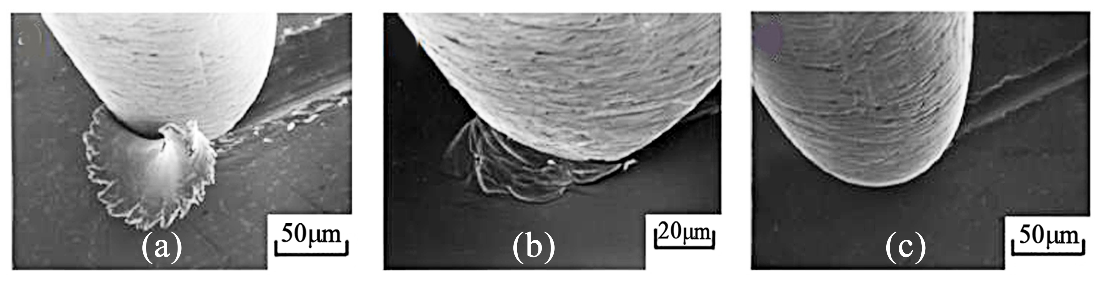 Materials 17 04240 g007