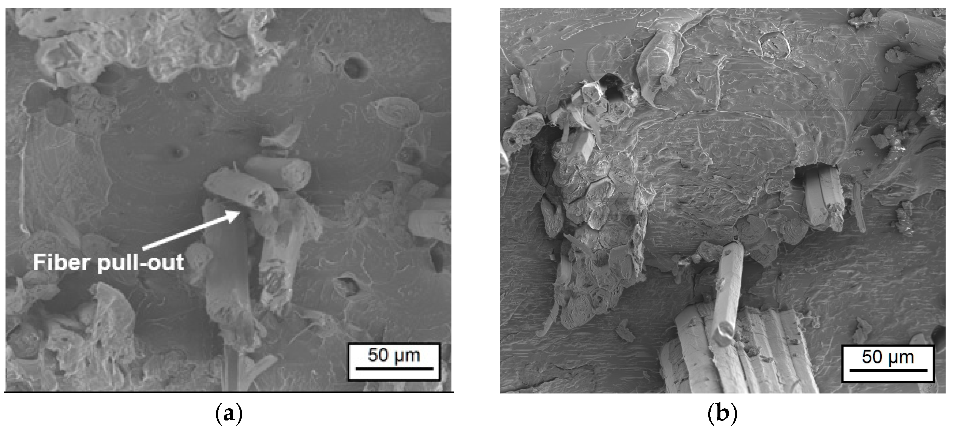 Materials 17 04244 g007a