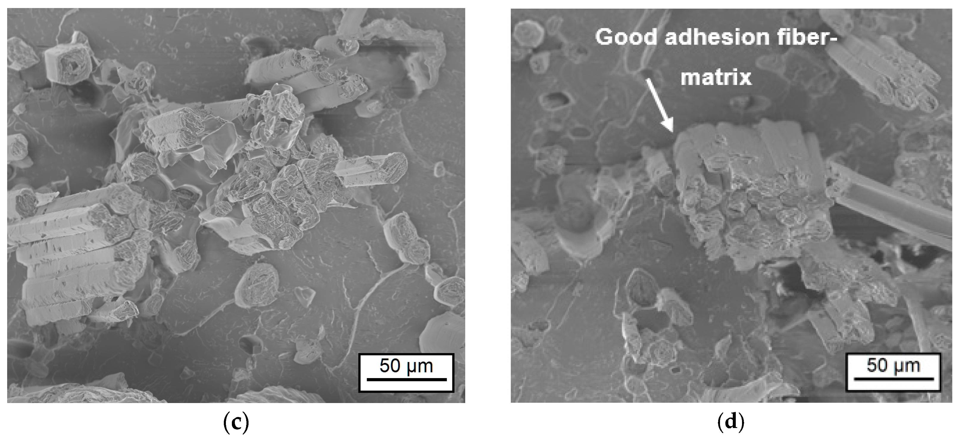 Materials 17 04244 g007b