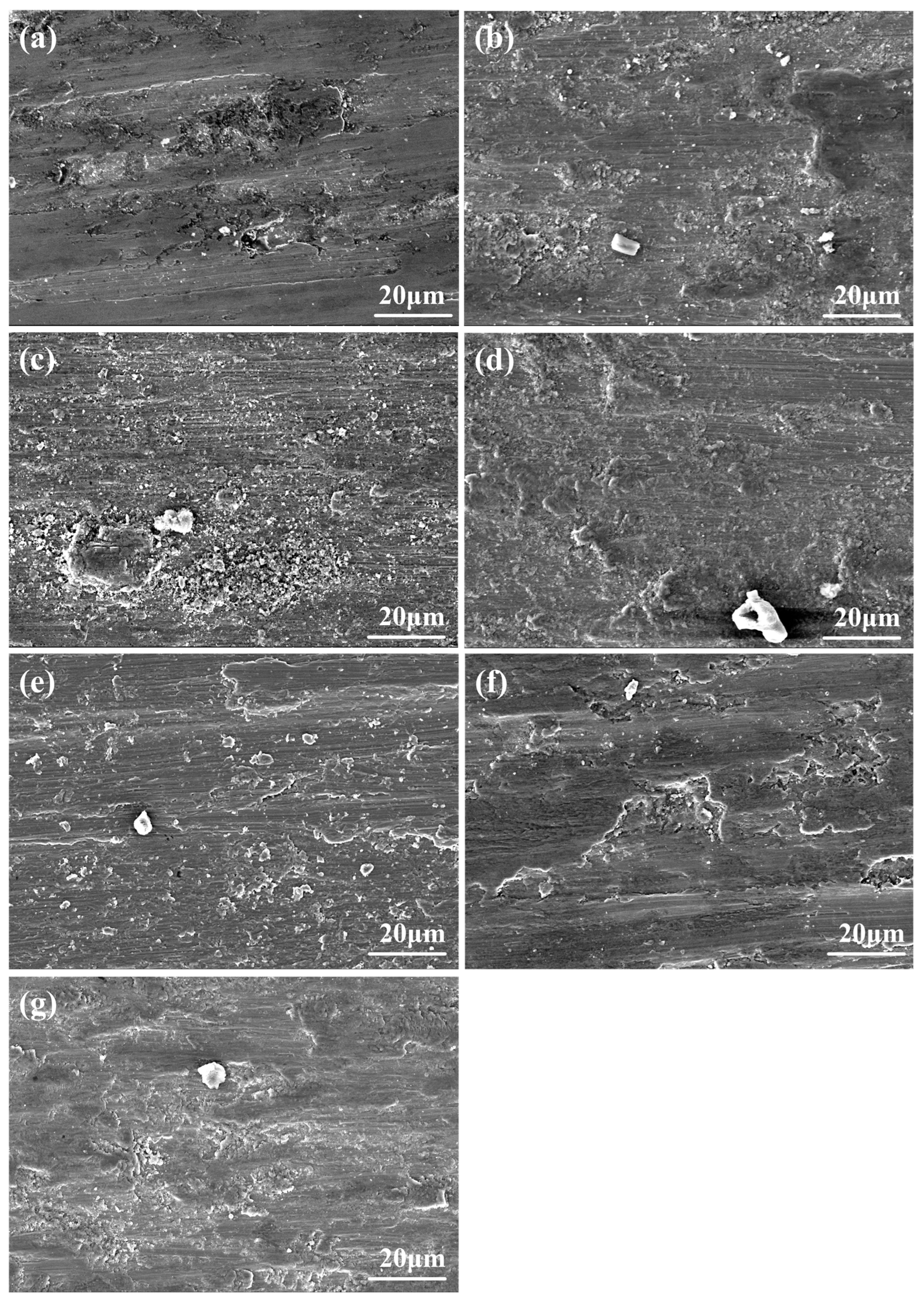 Materials 17 04249 g006