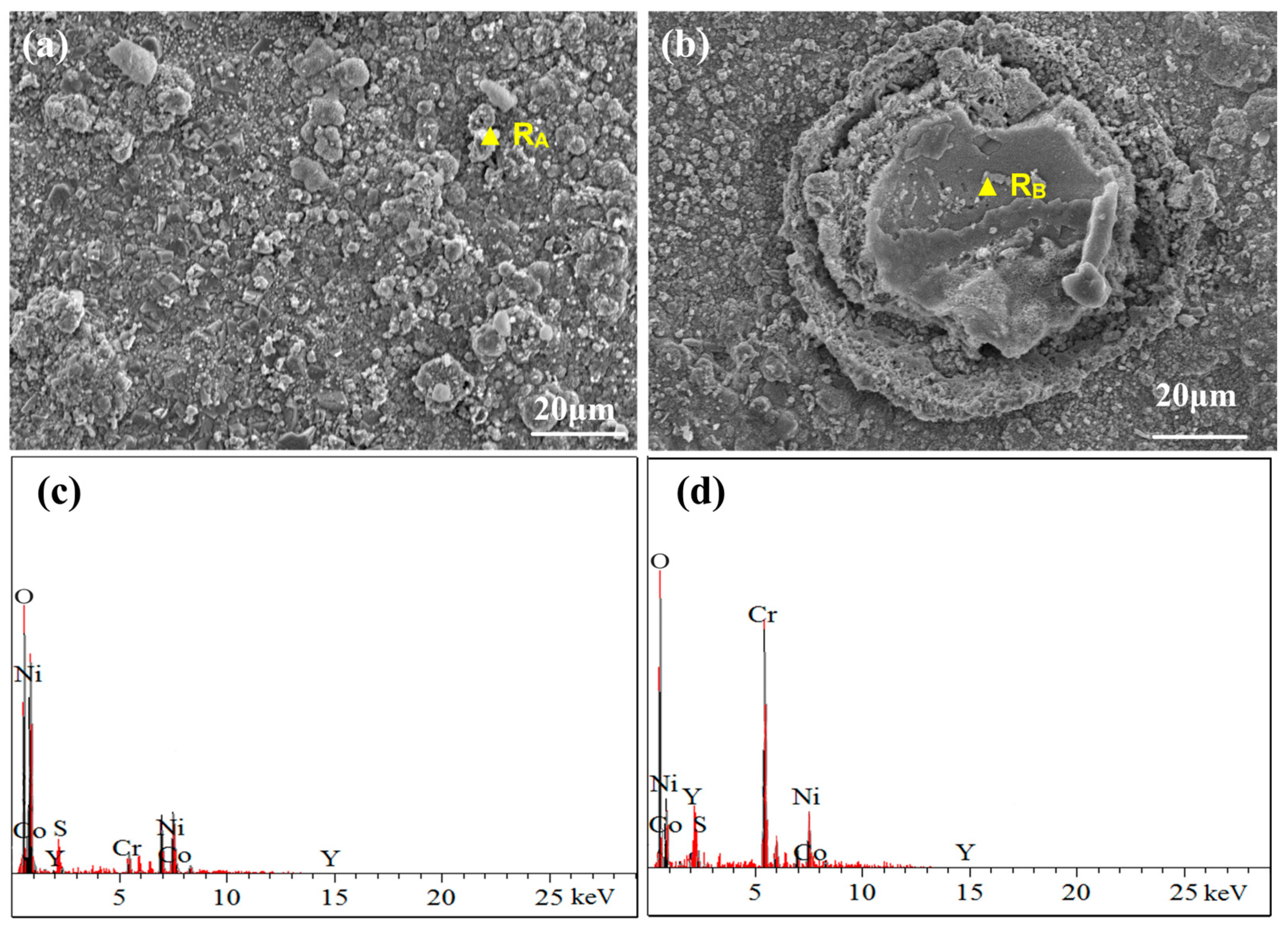 Materials 17 04249 g010