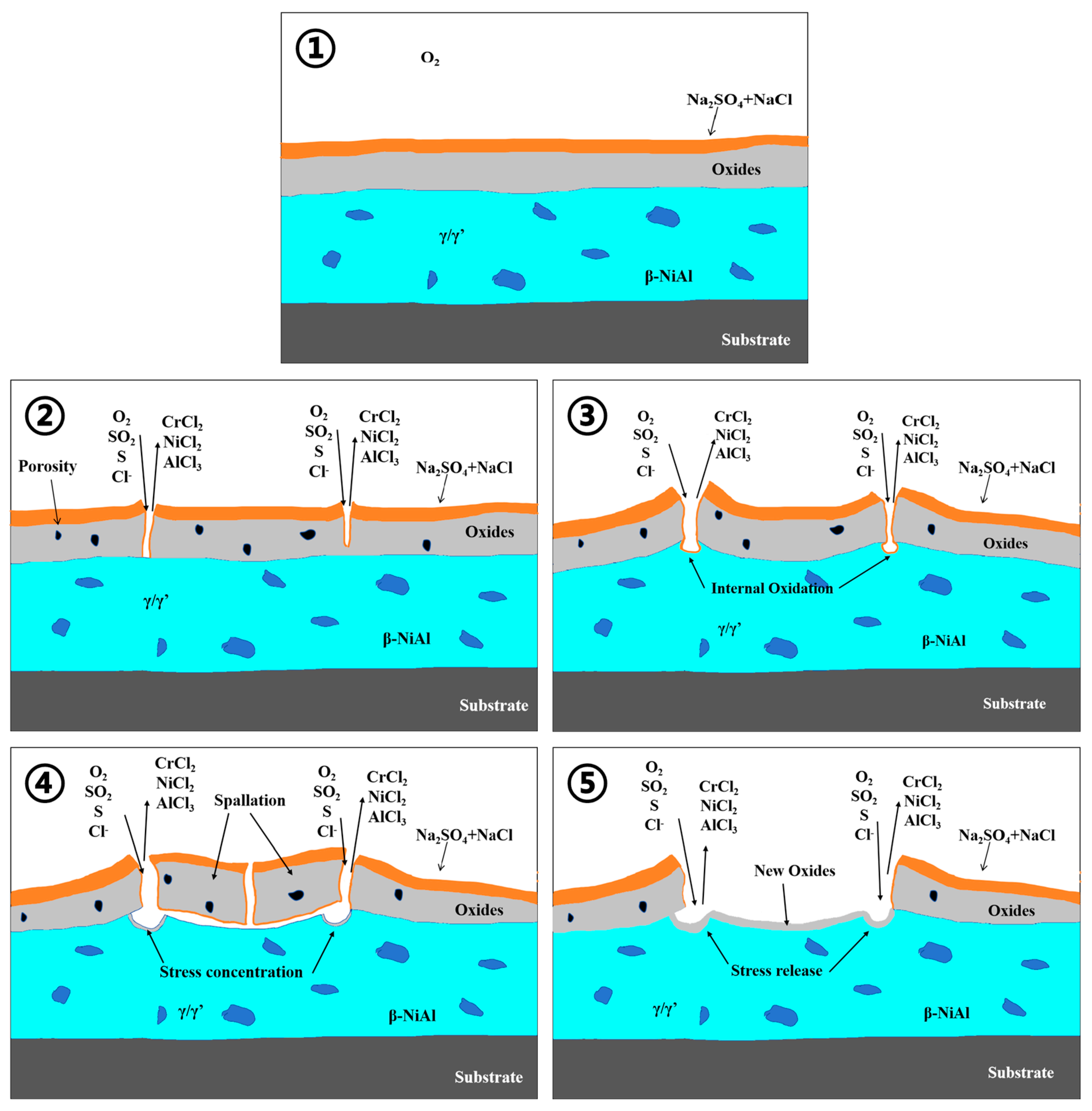 Materials 17 04249 g021