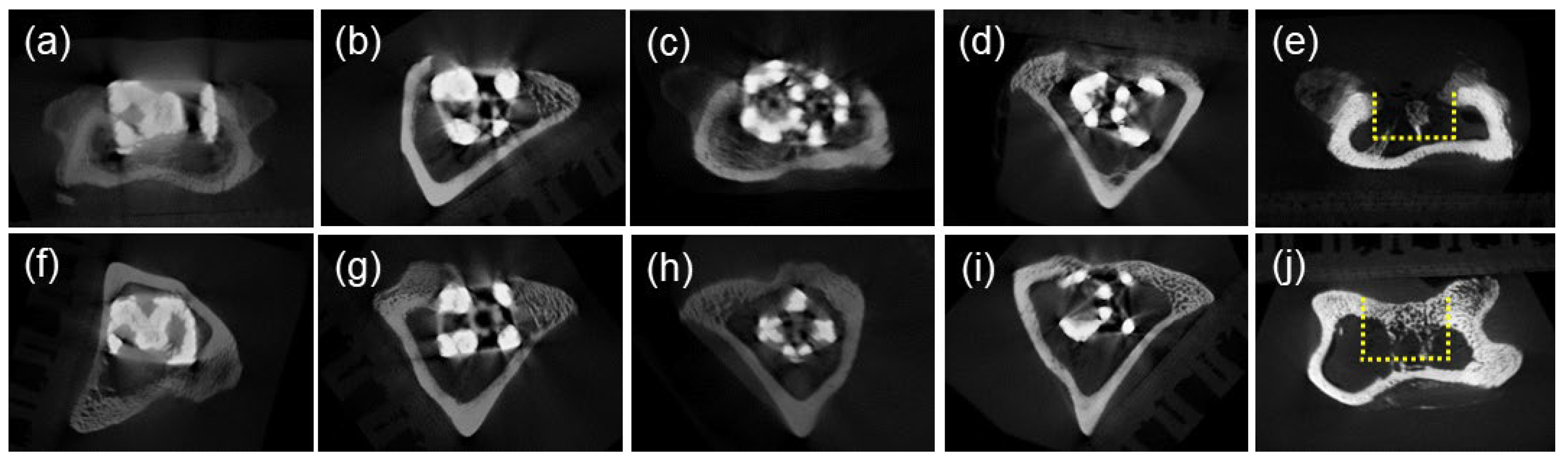 Materials 17 04286 g005 Materials 17 04286 g005