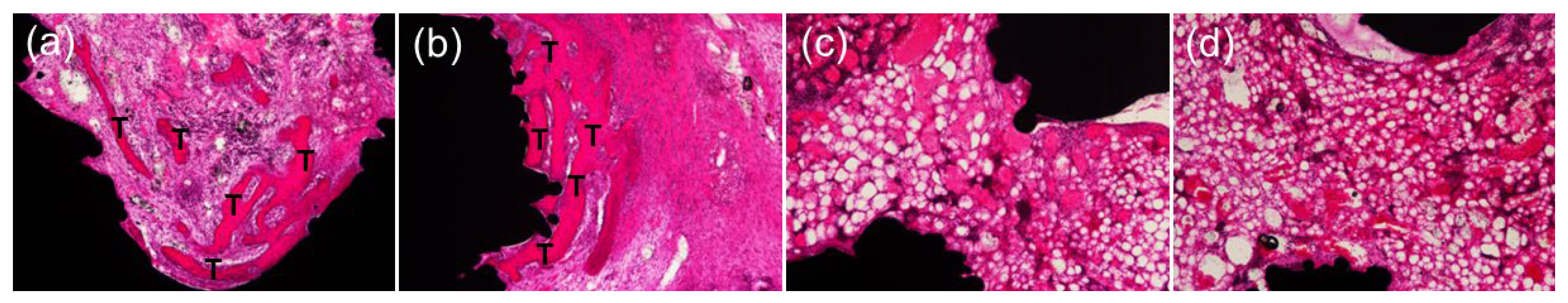 Materials 17 04286 g007 Materials 17 04286 g007