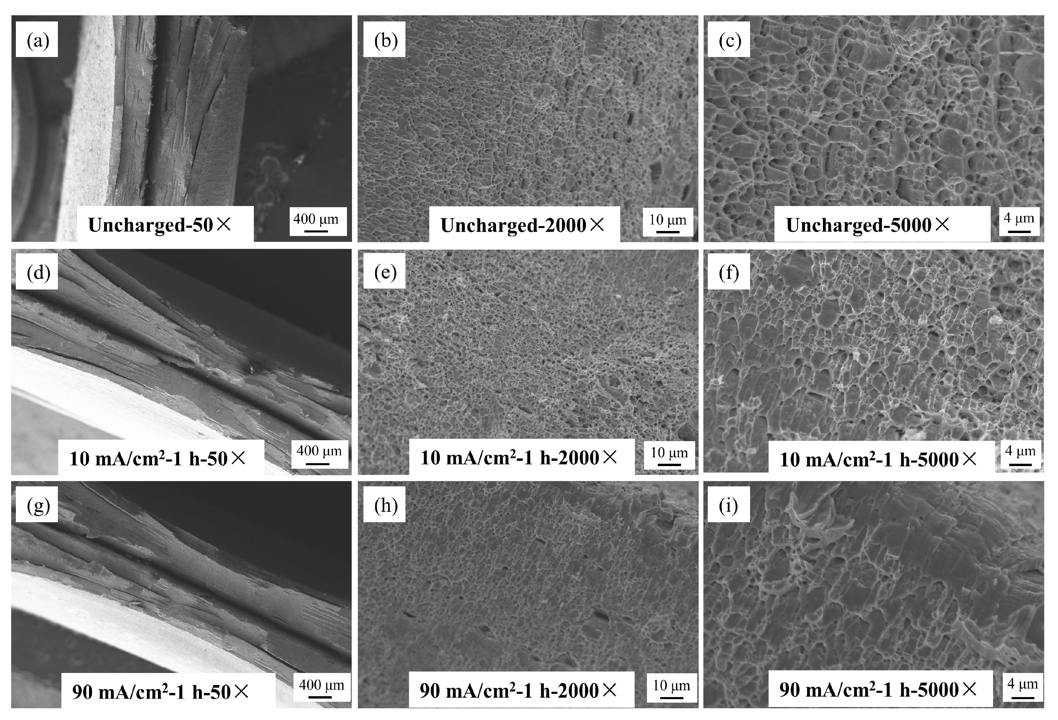 Materials 17 04290 g012