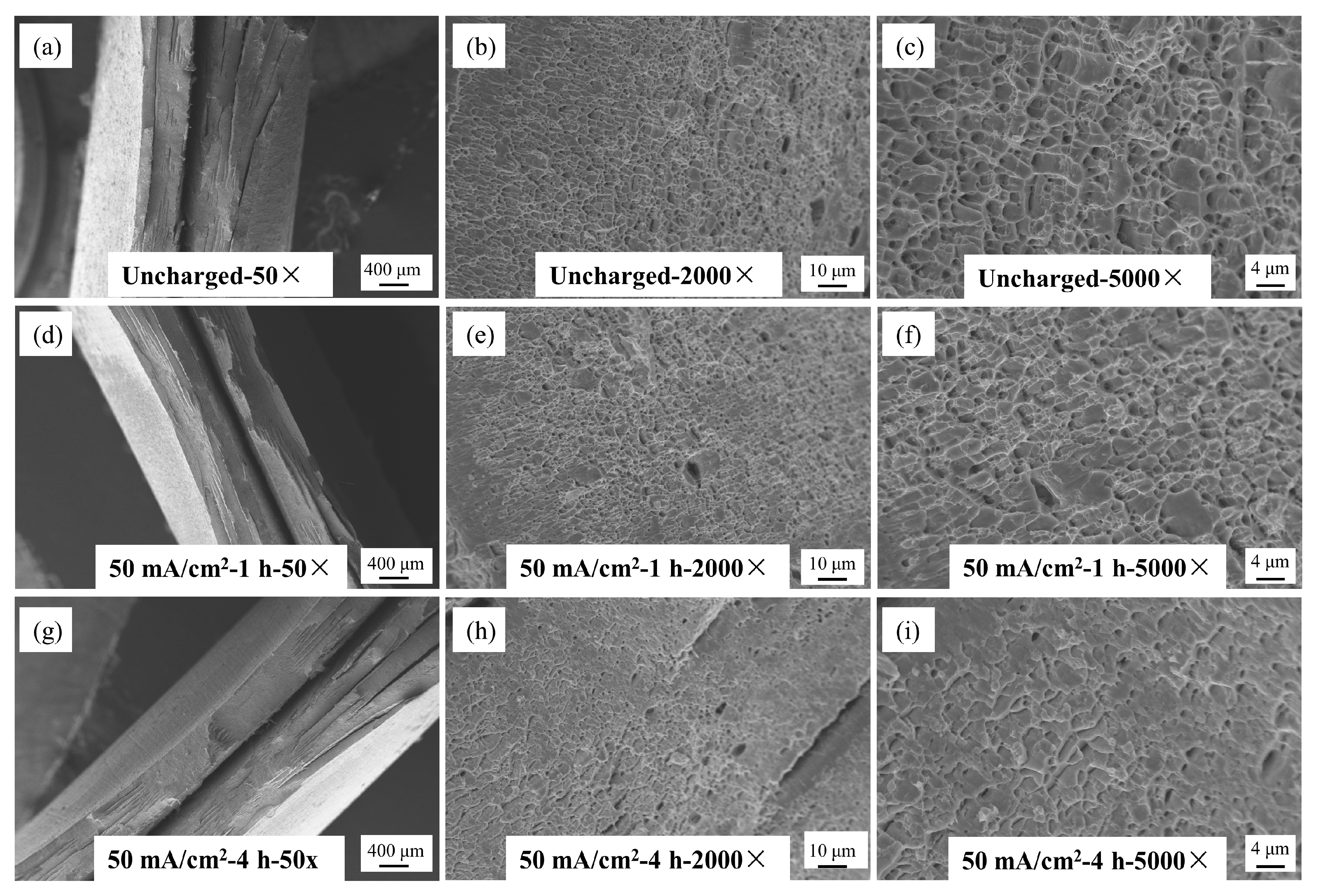 Materials 17 04290 g013